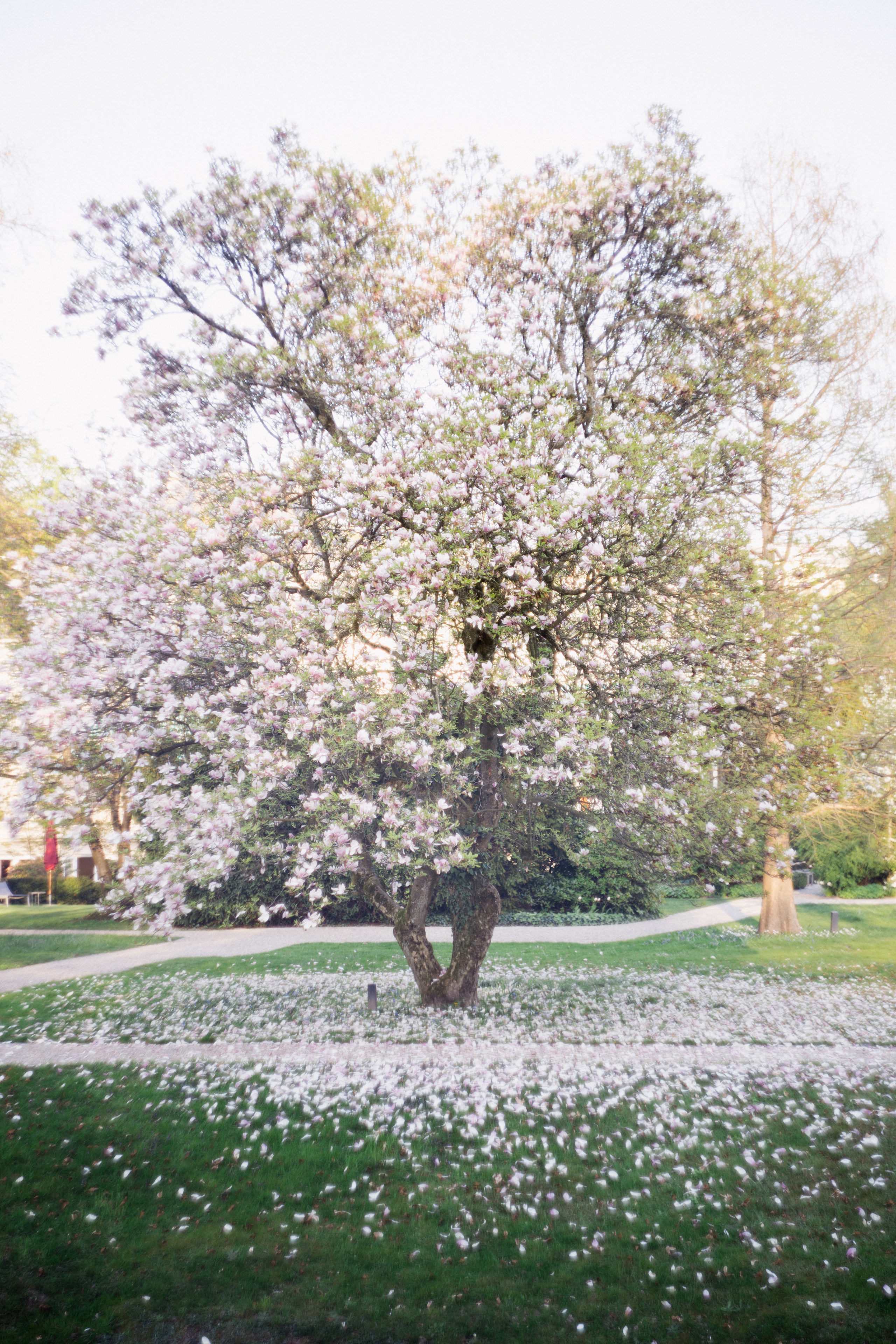 Baden-Baden’s spring. Wedding Event ART Photographer