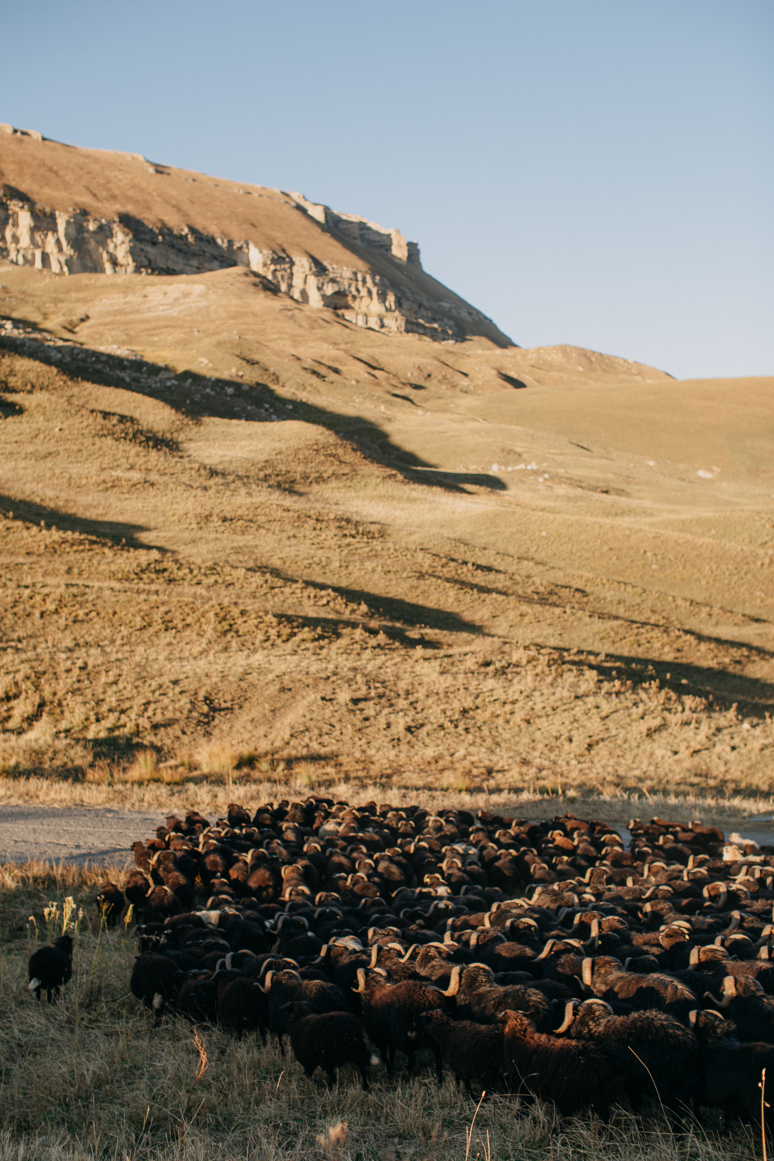 Road to Elbrus or mountain views. Wedding Event ART Photographer