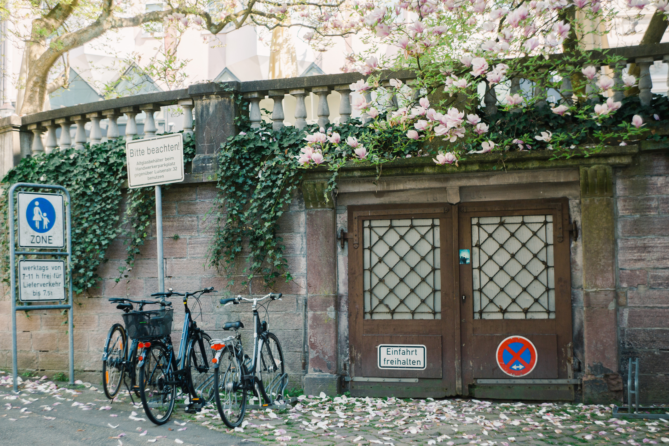 Baden-Baden’s spring. Wedding Event ART Photographer
