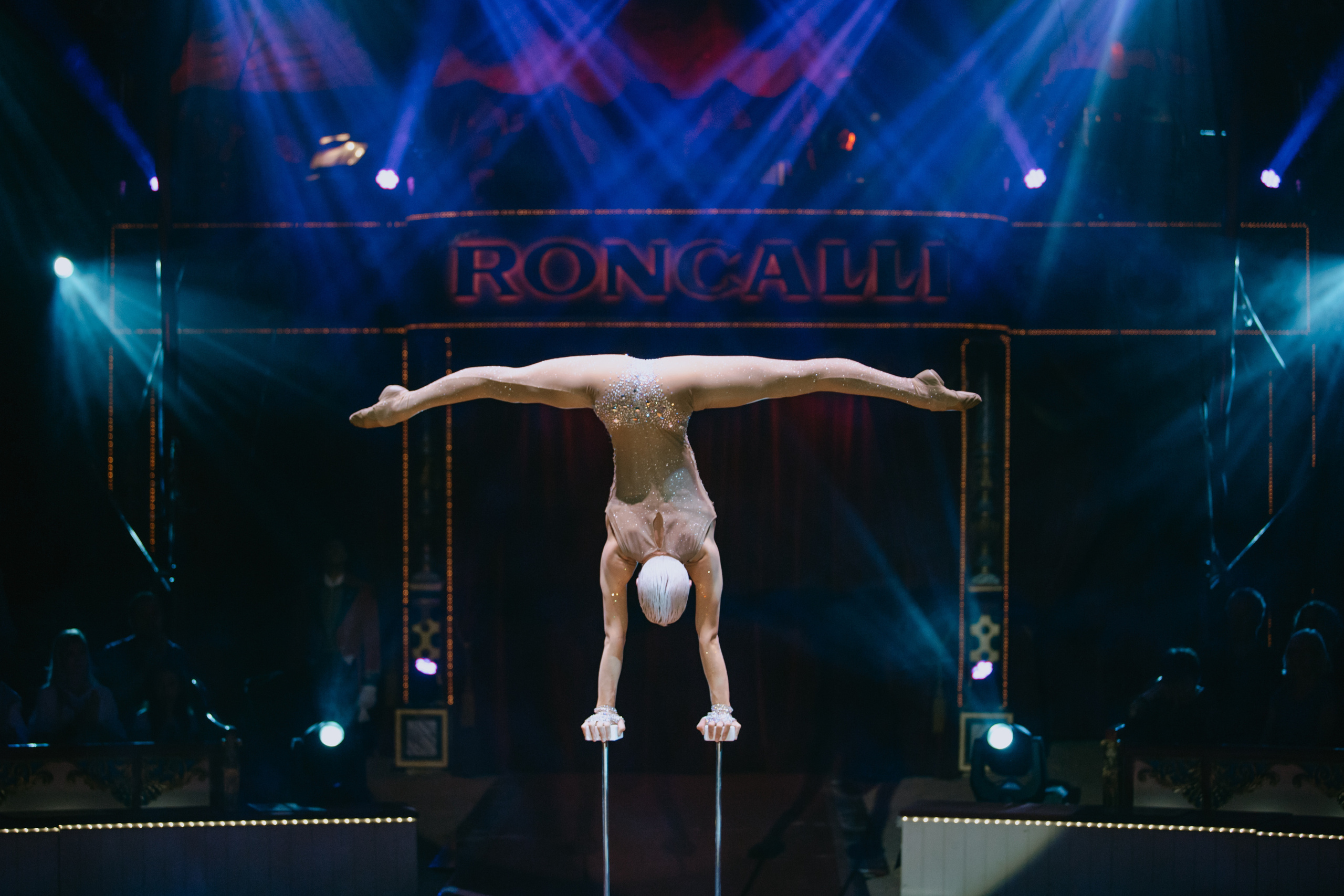 Cirqus Roncalli. Köln. Germany. Wedding Event ART Photographer