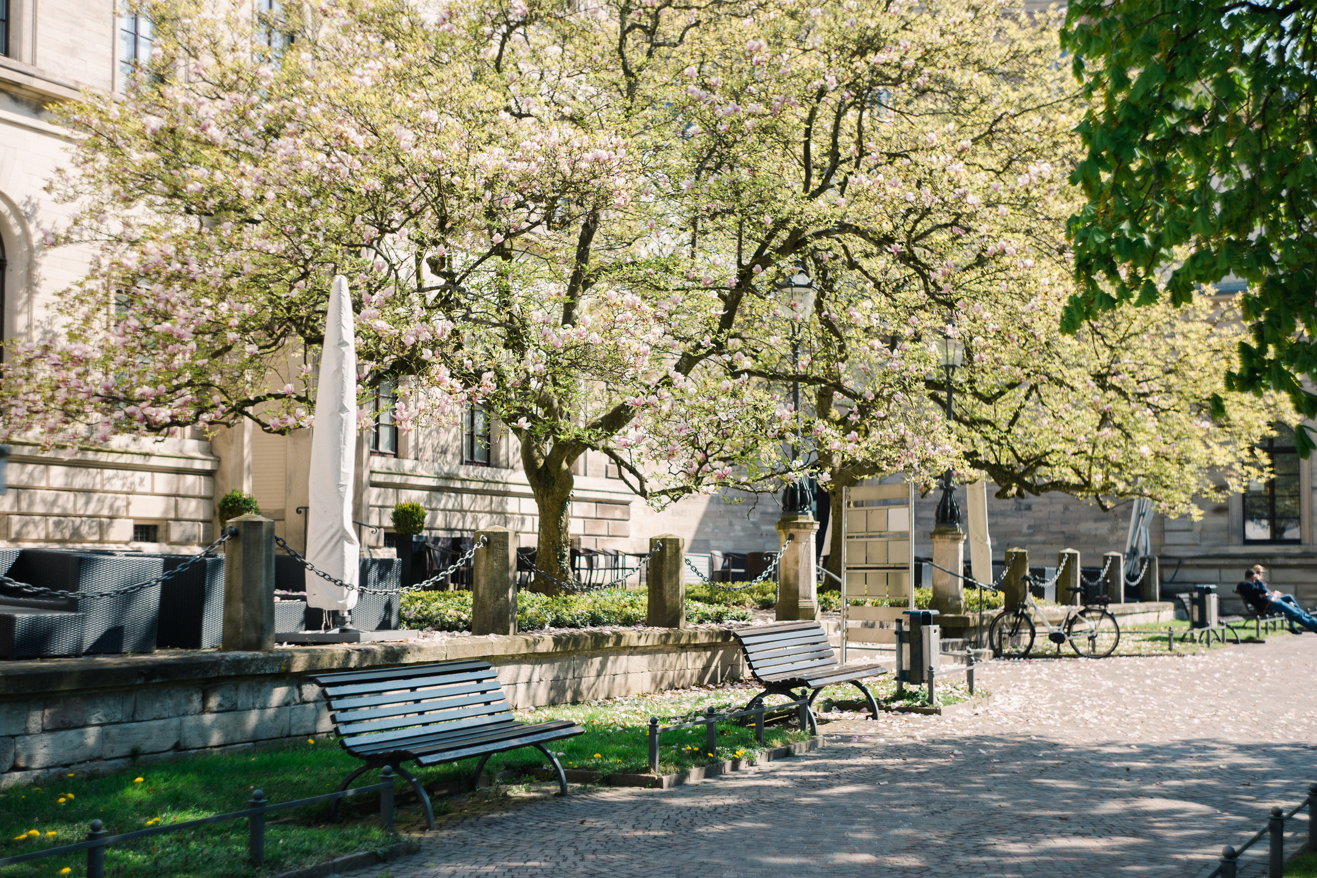 Baden-Baden’s spring. Wedding Event ART Photographer
