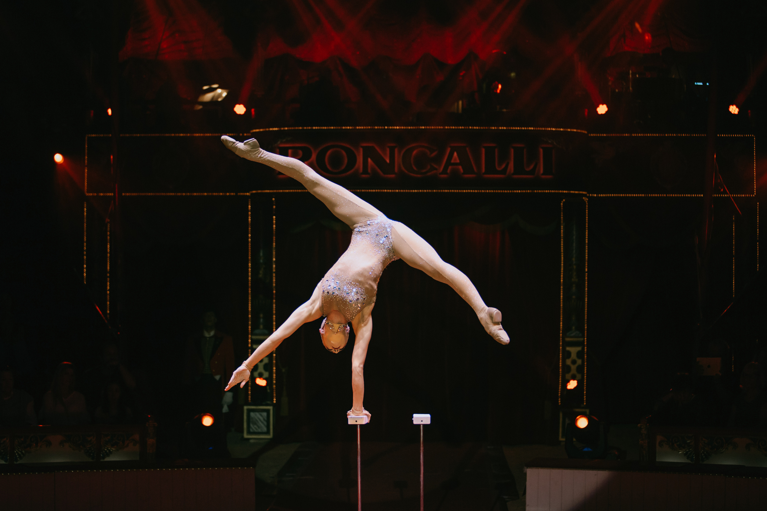 Cirqus Roncalli. Köln. Germany. Wedding Event ART Photographer