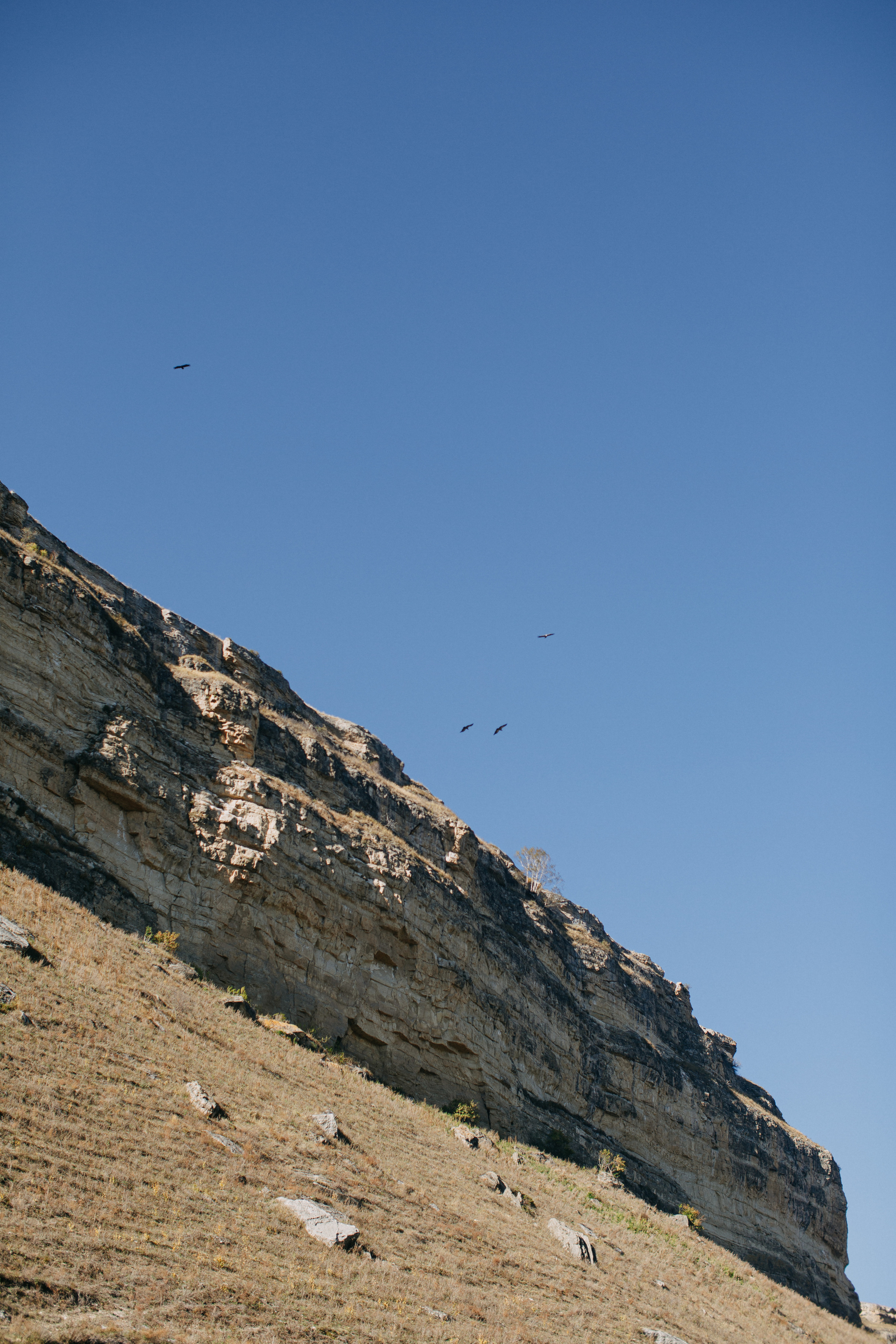 Road to Elbrus or mountain views. Wedding Event ART Photographer