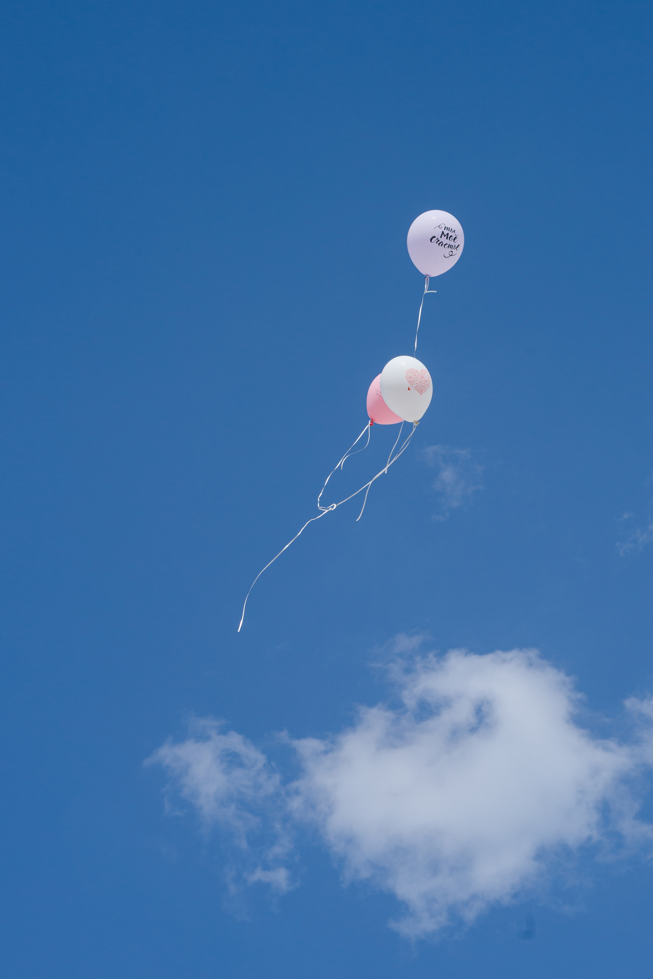 Wedding day Alena & Max. Wedding Event ART Photographer