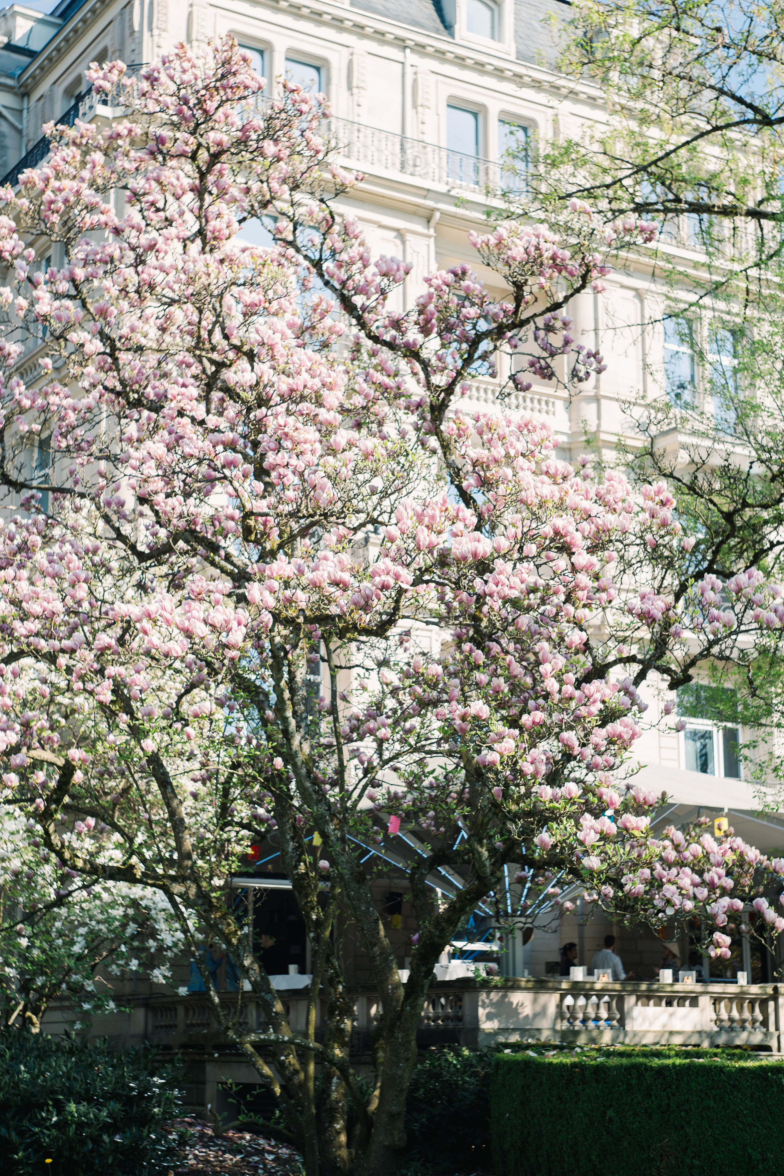Baden-Baden’s spring. Wedding Event ART Photographer