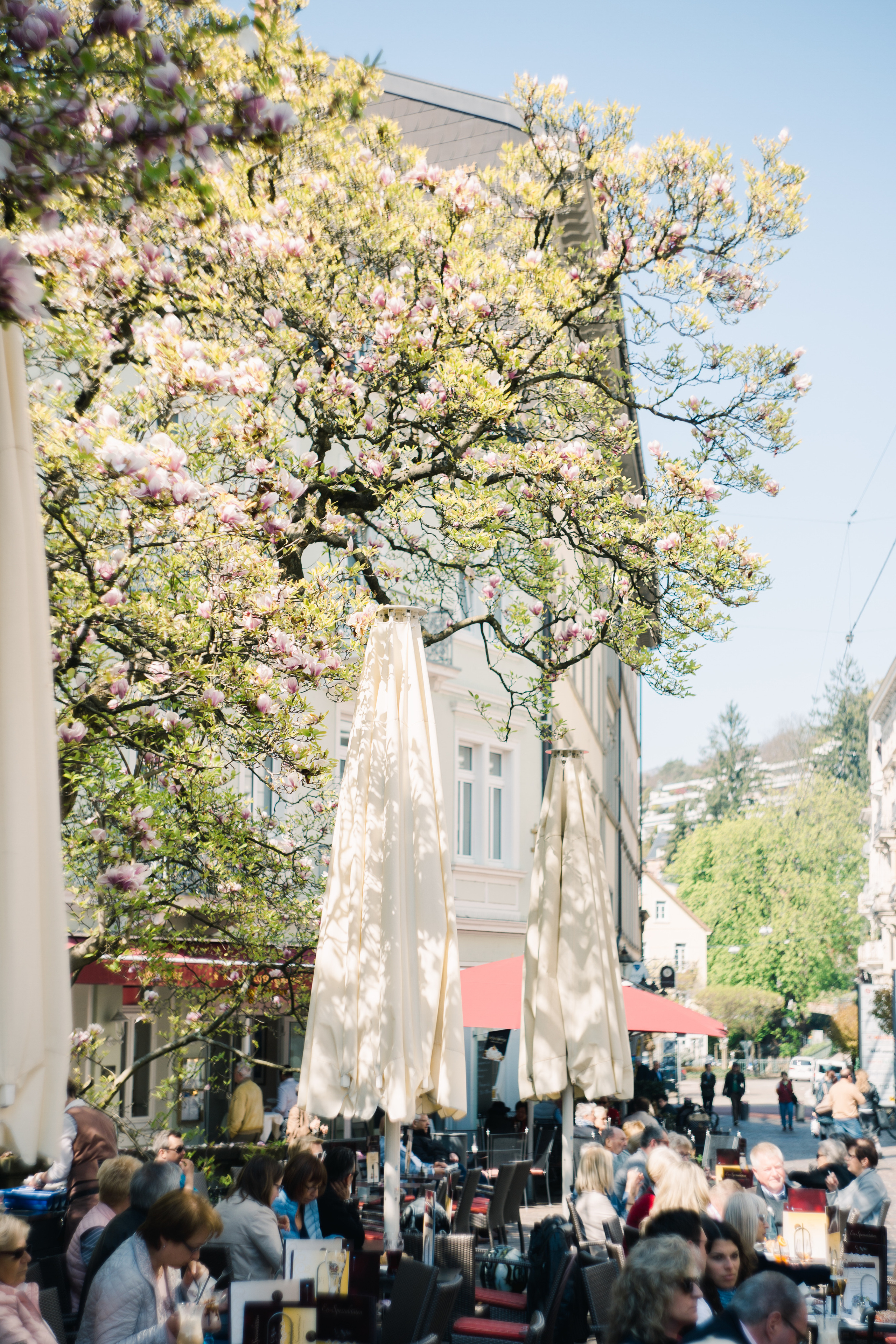 Baden-Baden’s spring. Wedding Event ART Photographer