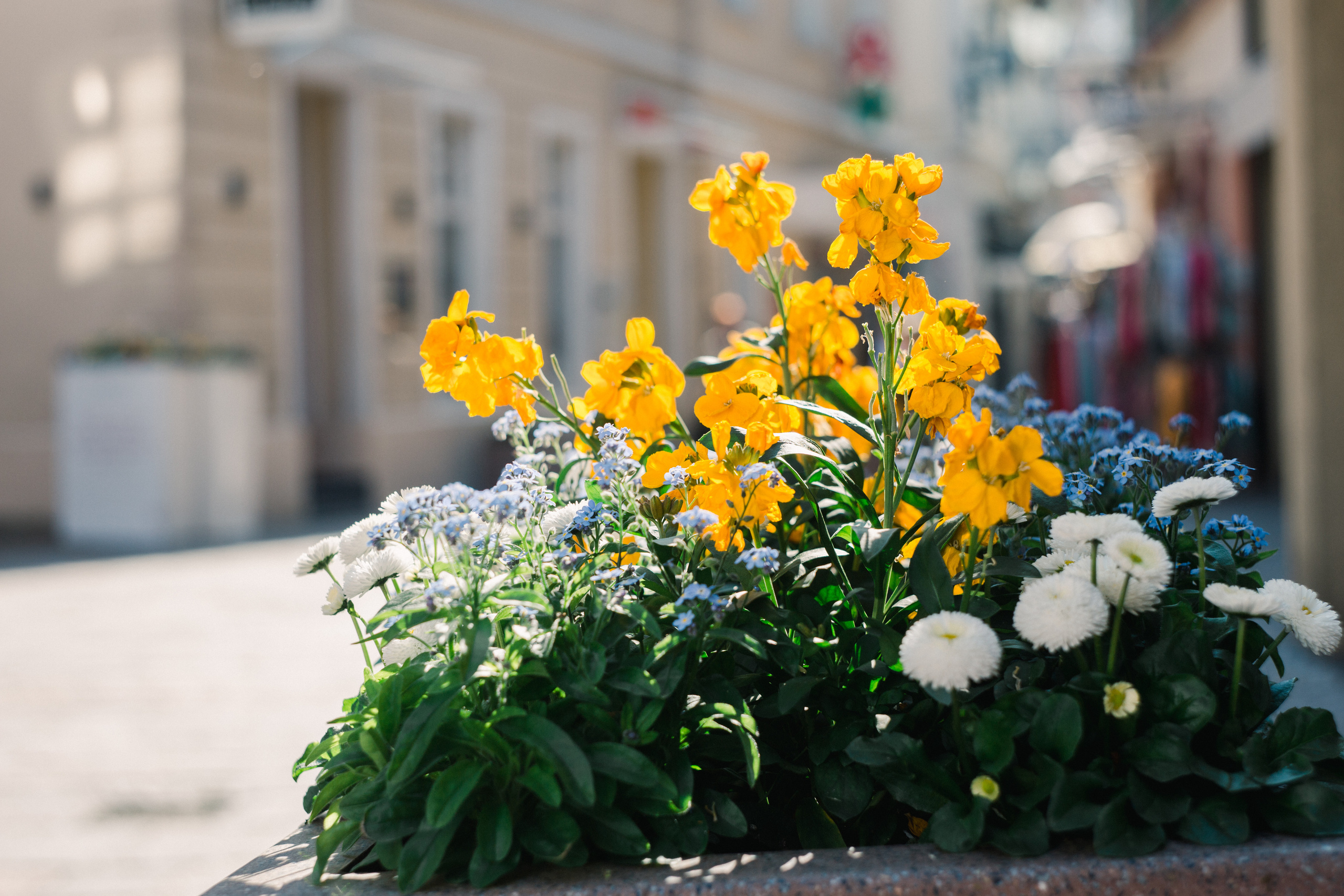 Baden-Baden’s spring. Wedding Event ART Photographer