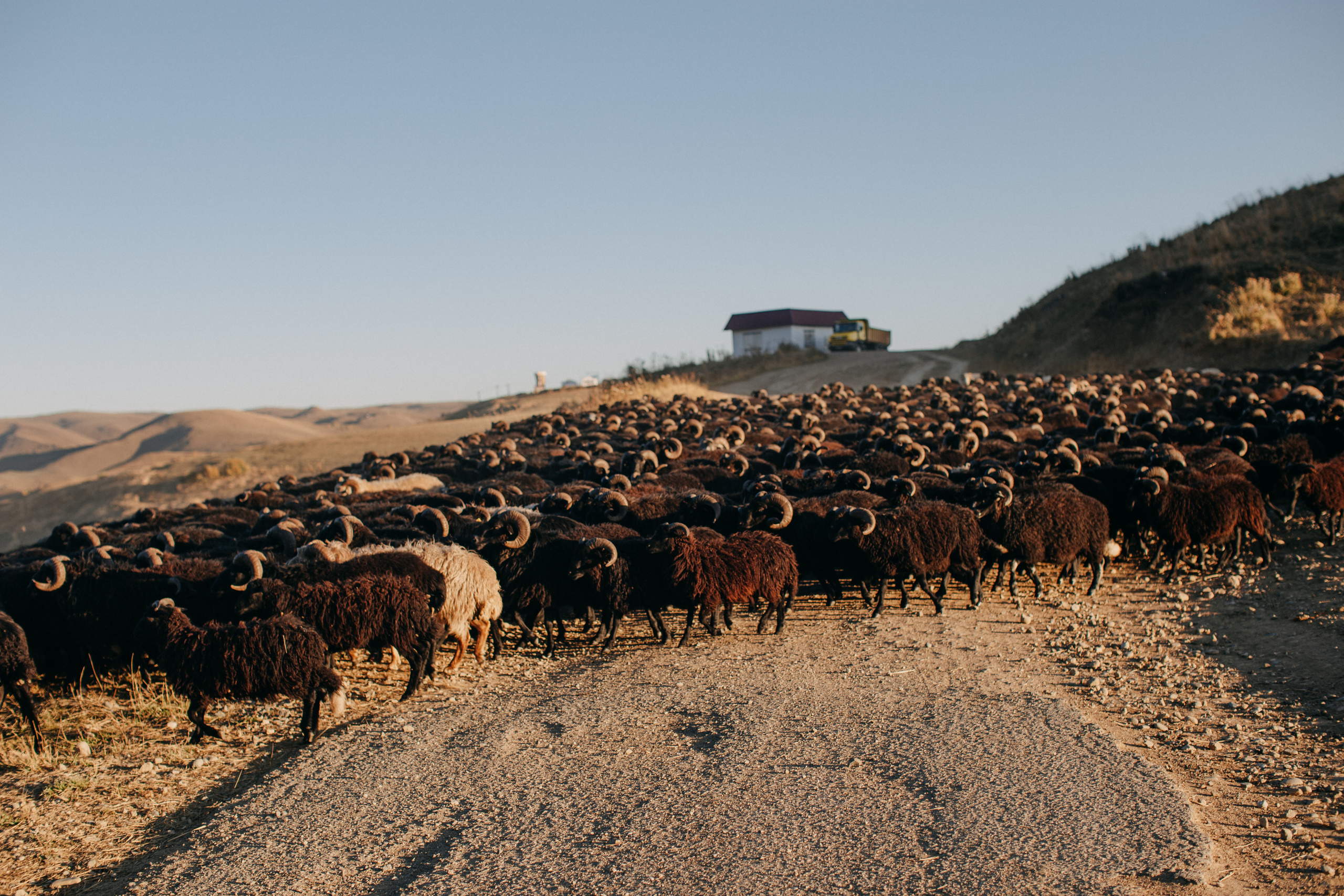 Road to Elbrus or mountain views. Wedding Event ART Photographer
