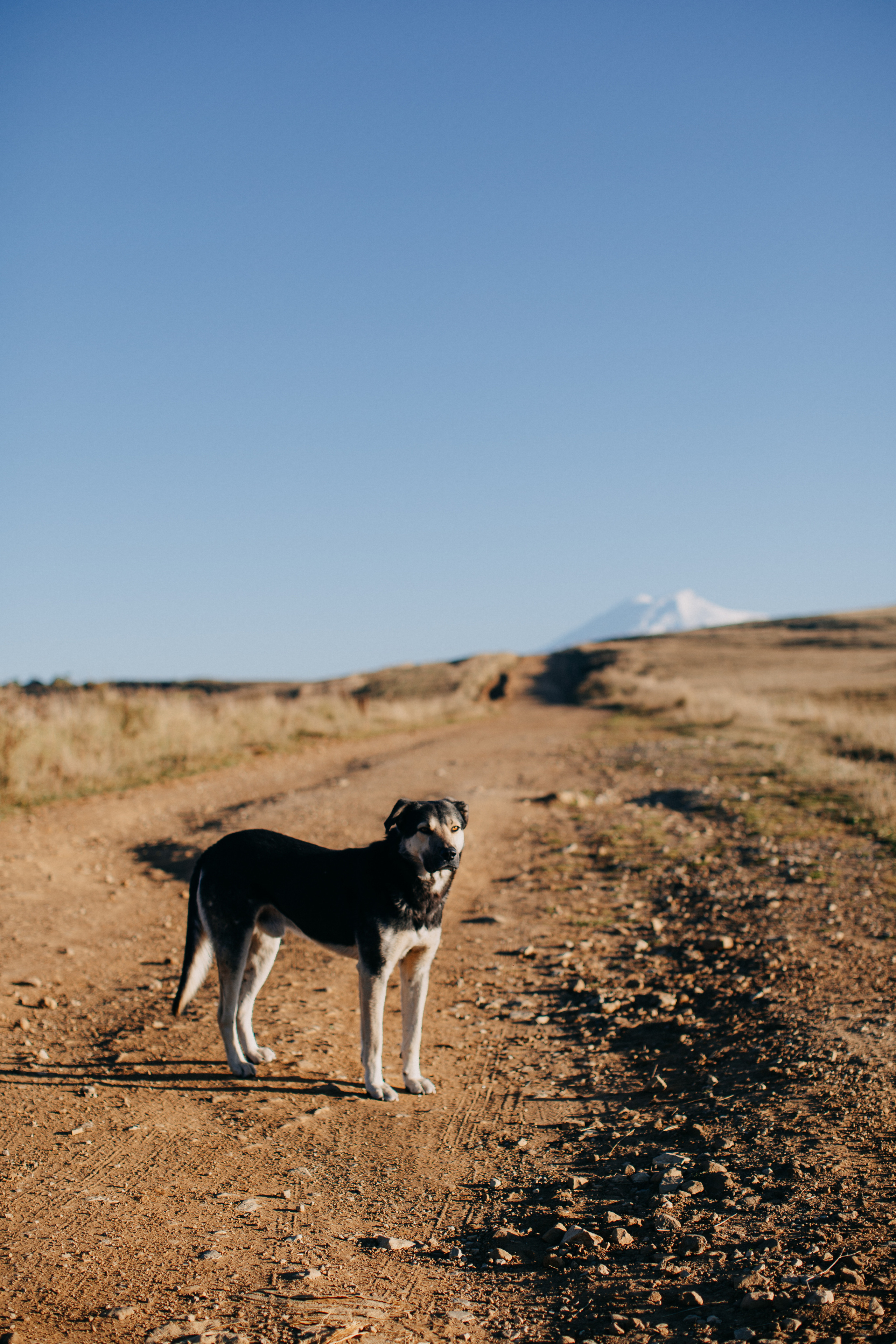 Road to Elbrus or mountain views. Wedding Event ART Photographer