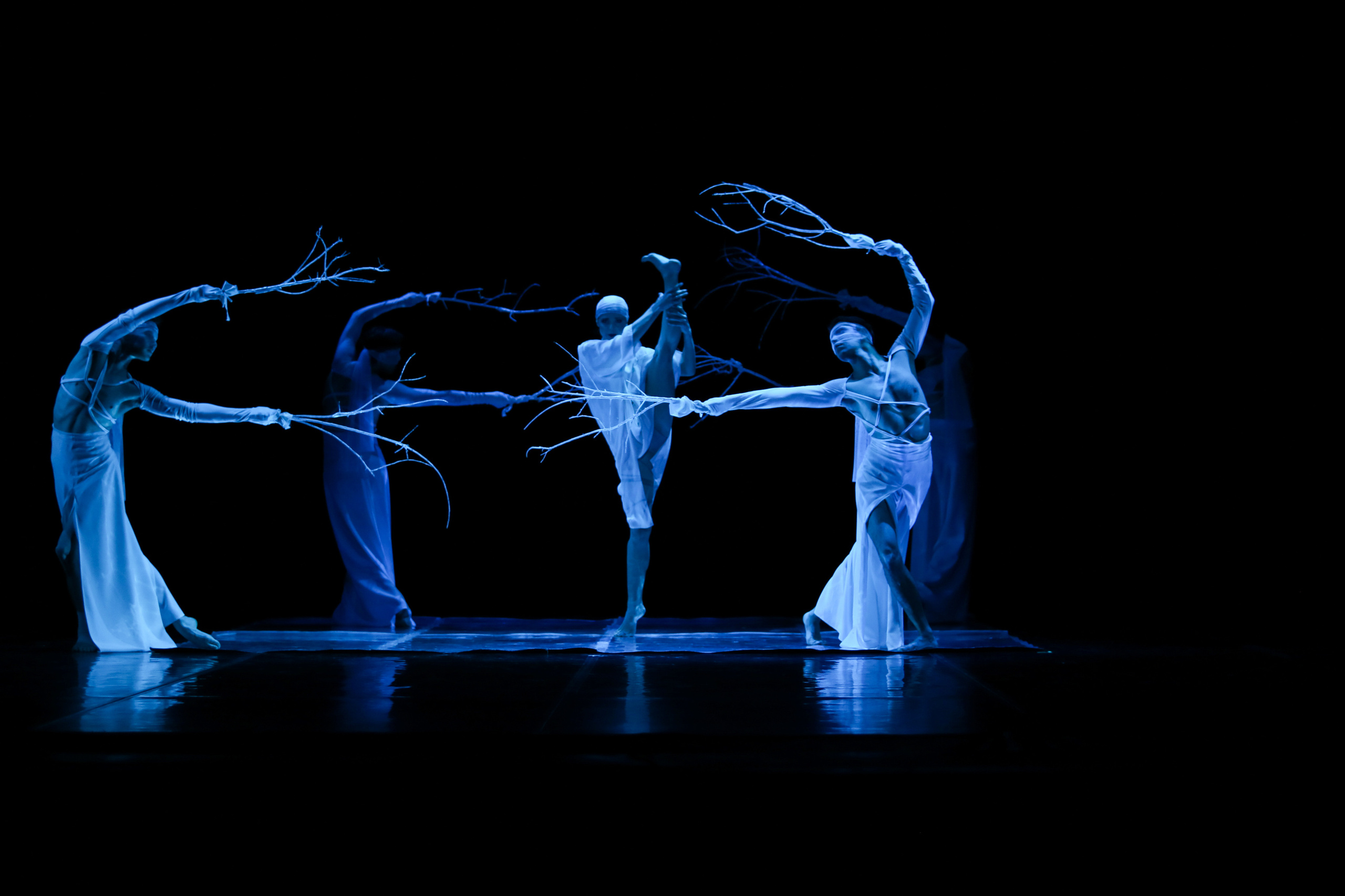 Ballet. Wedding Event ART Photographer