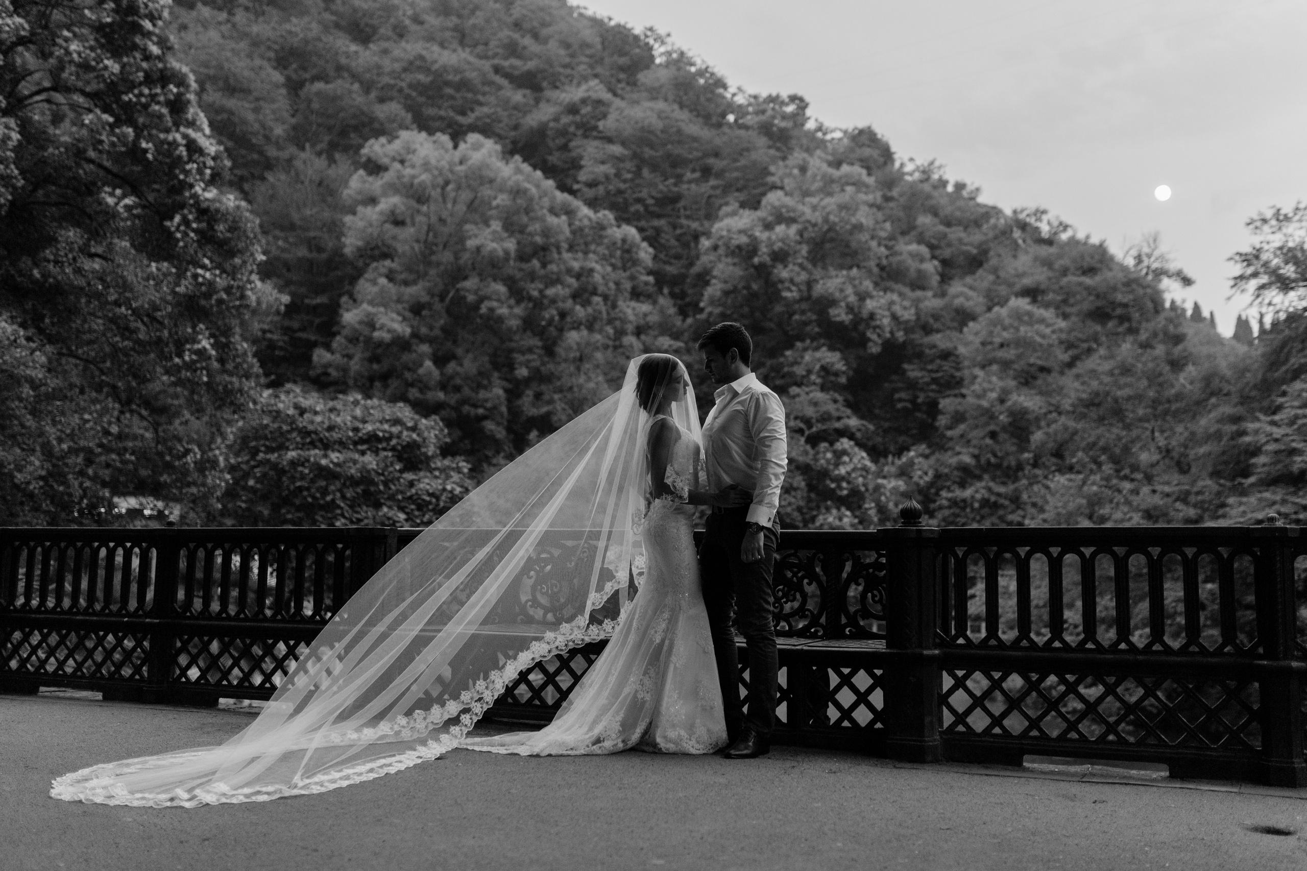 Wedding day Diana & Sergey. Wedding Event ART Photographer