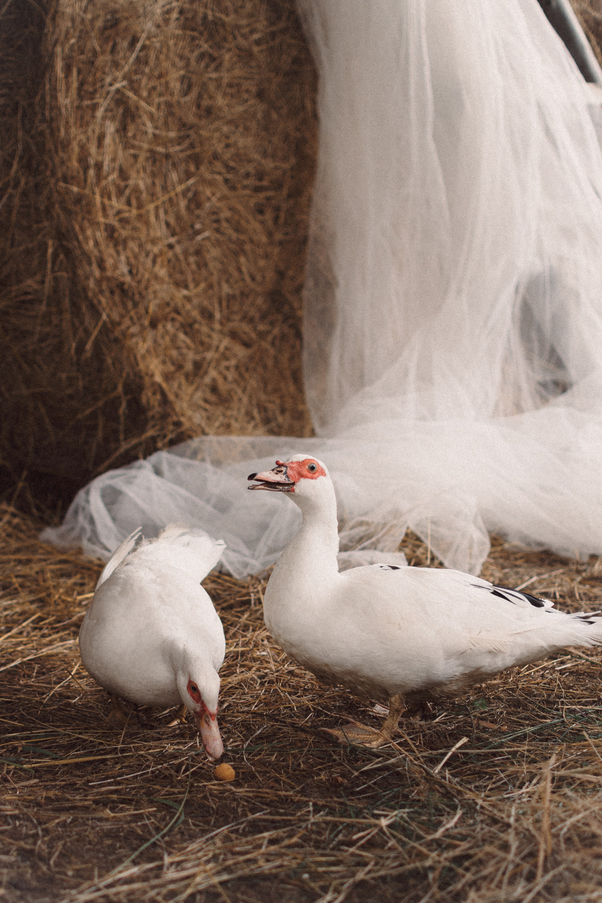 Ваше утро. Фотограф Анфиса Хардина Екатеринбург