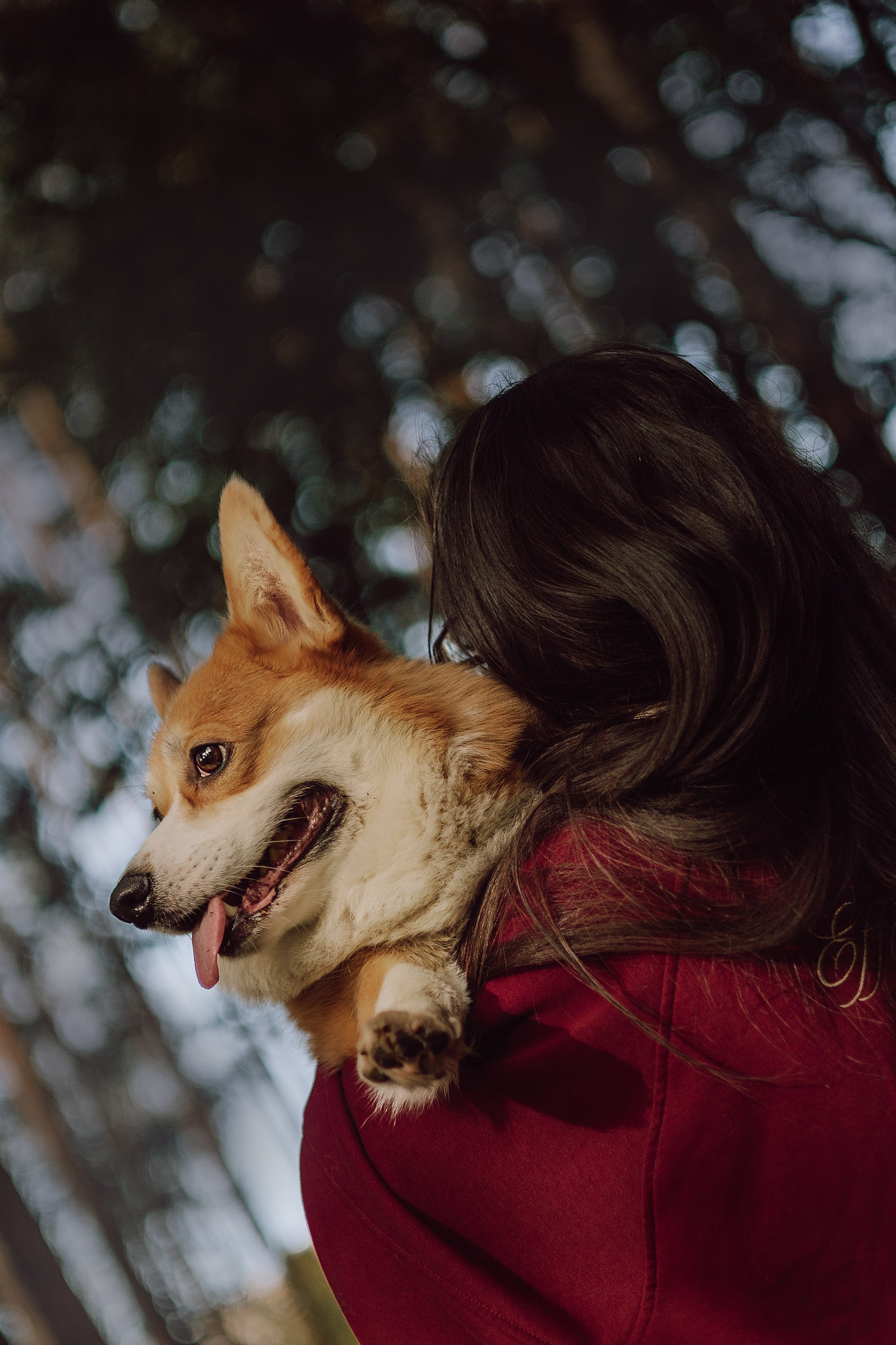 Мари & Йосик. Фотограф — анималист •love-story•|Санкт-Петербург