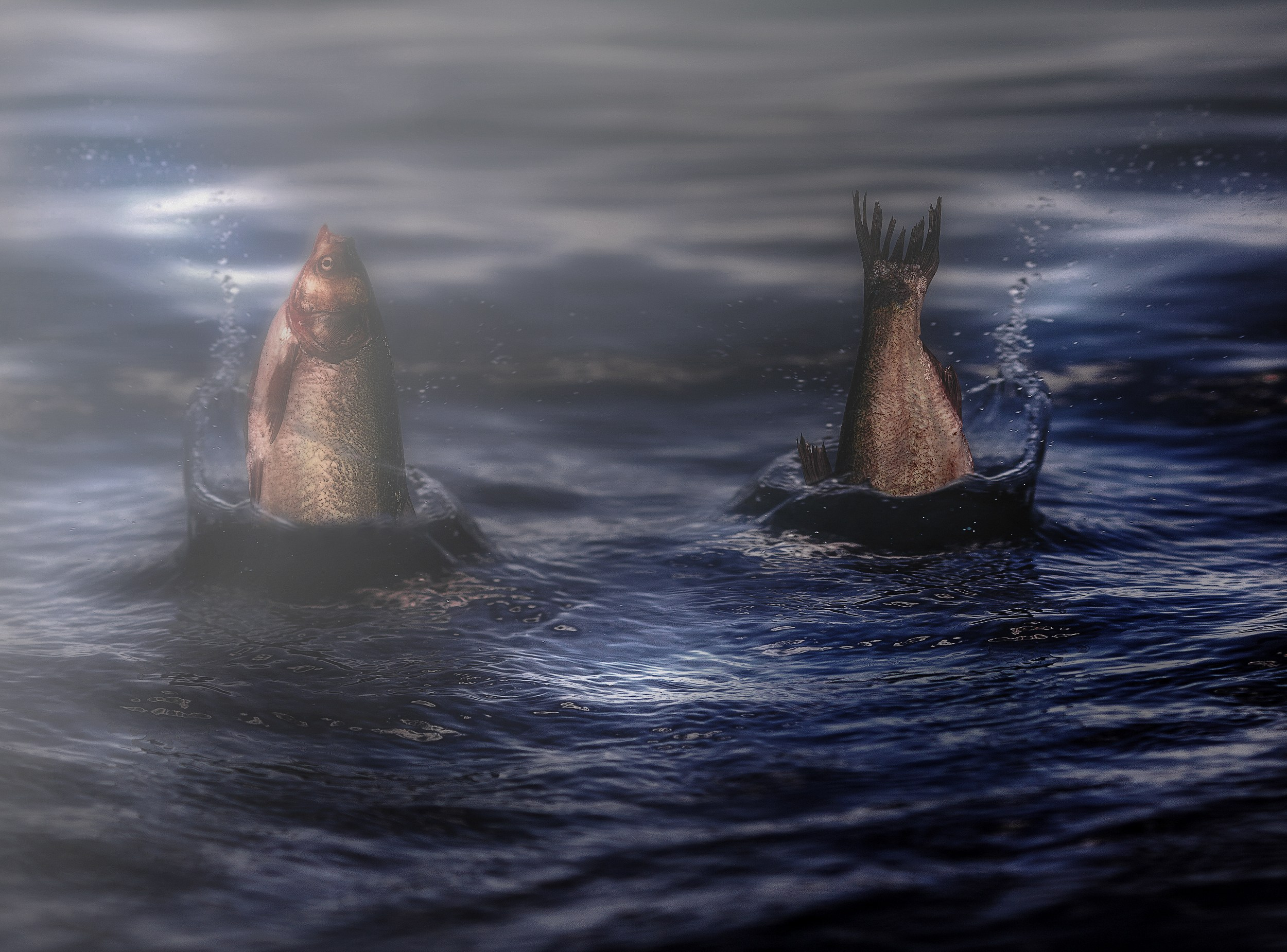 Концептуальная фотография. Медиапродюсер, фотограф в Минеральных Водах —Виктор Холодов