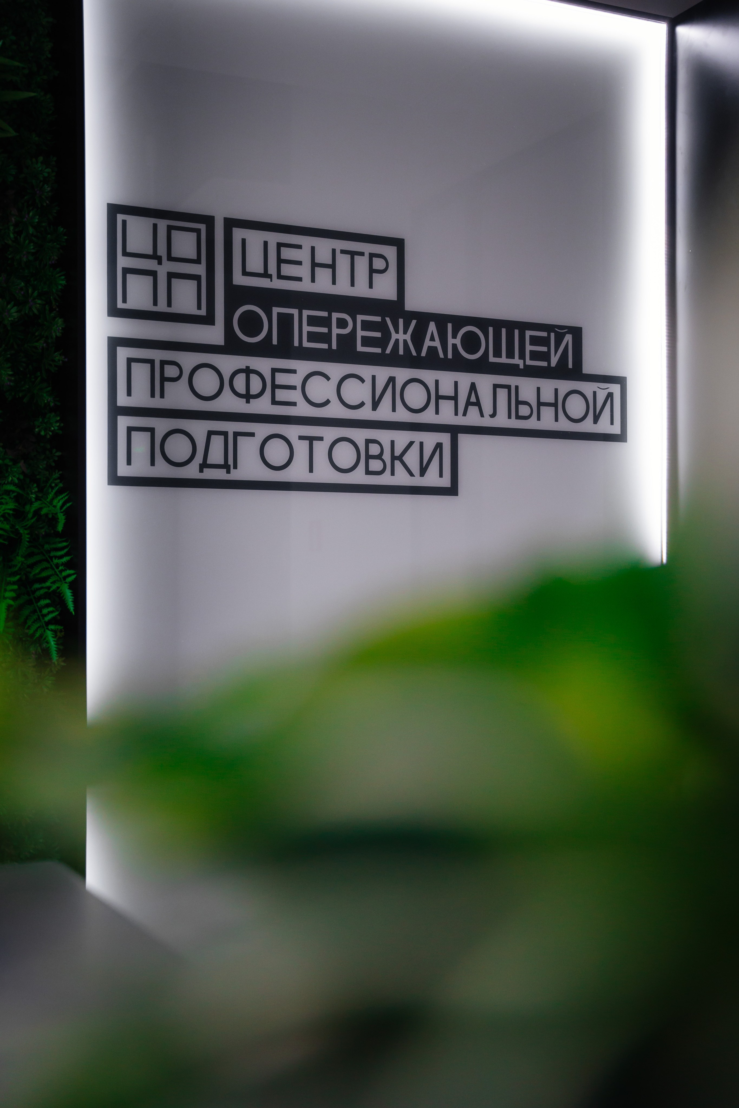 Официальный фоторепортаж. Репортажный фотограф Илья Бабенков