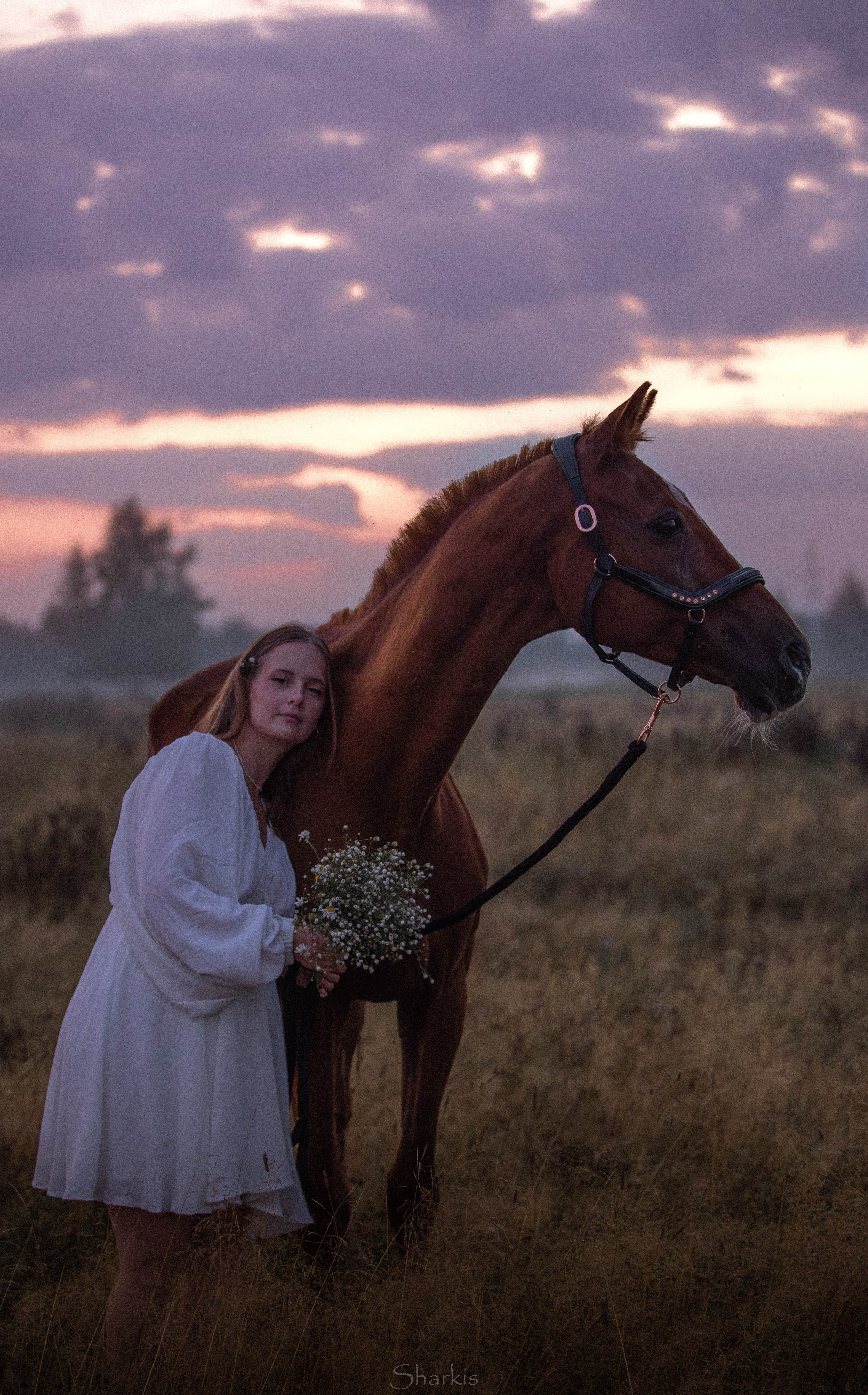 Аня и Гас. Главная