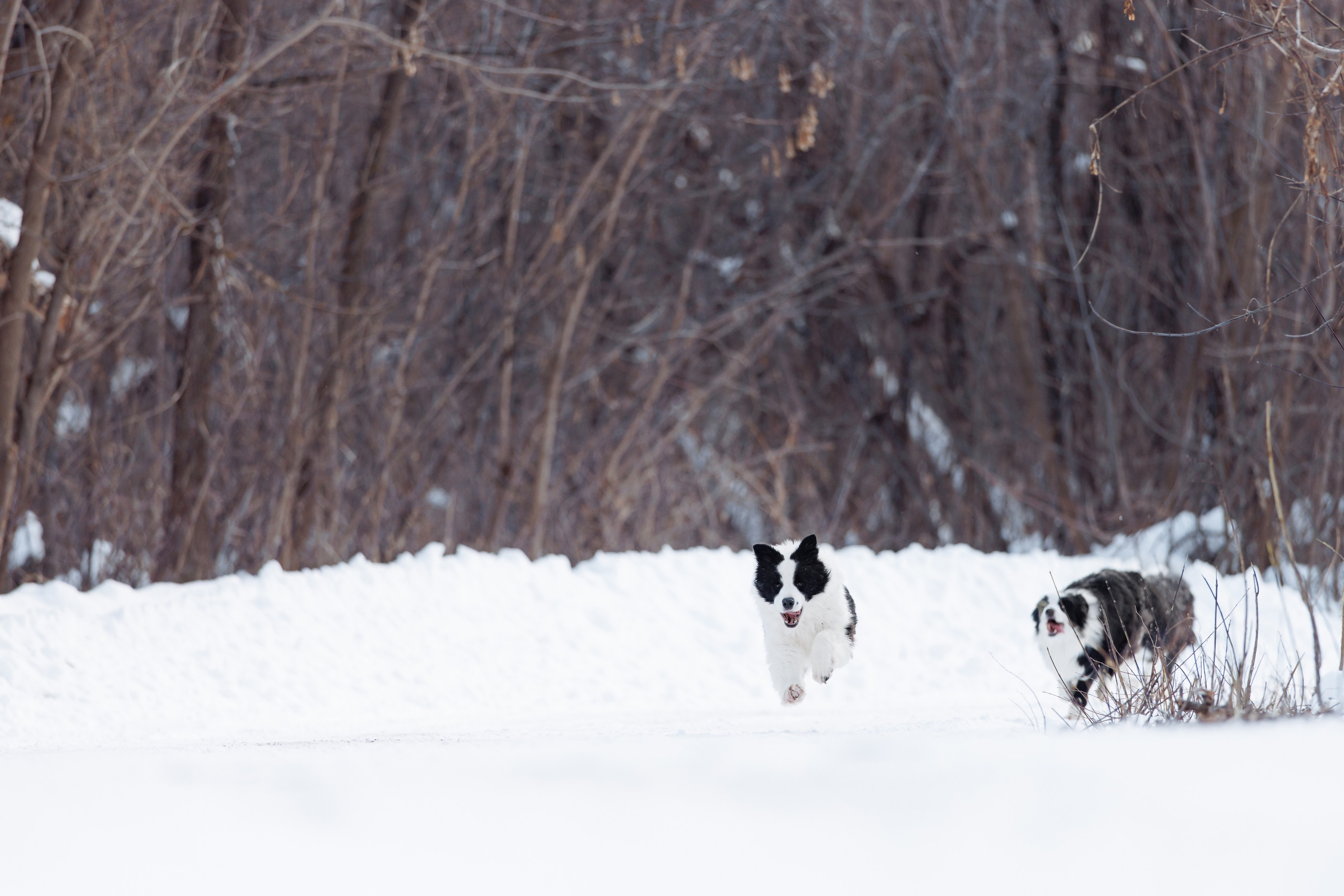 Яркий январь. О нас