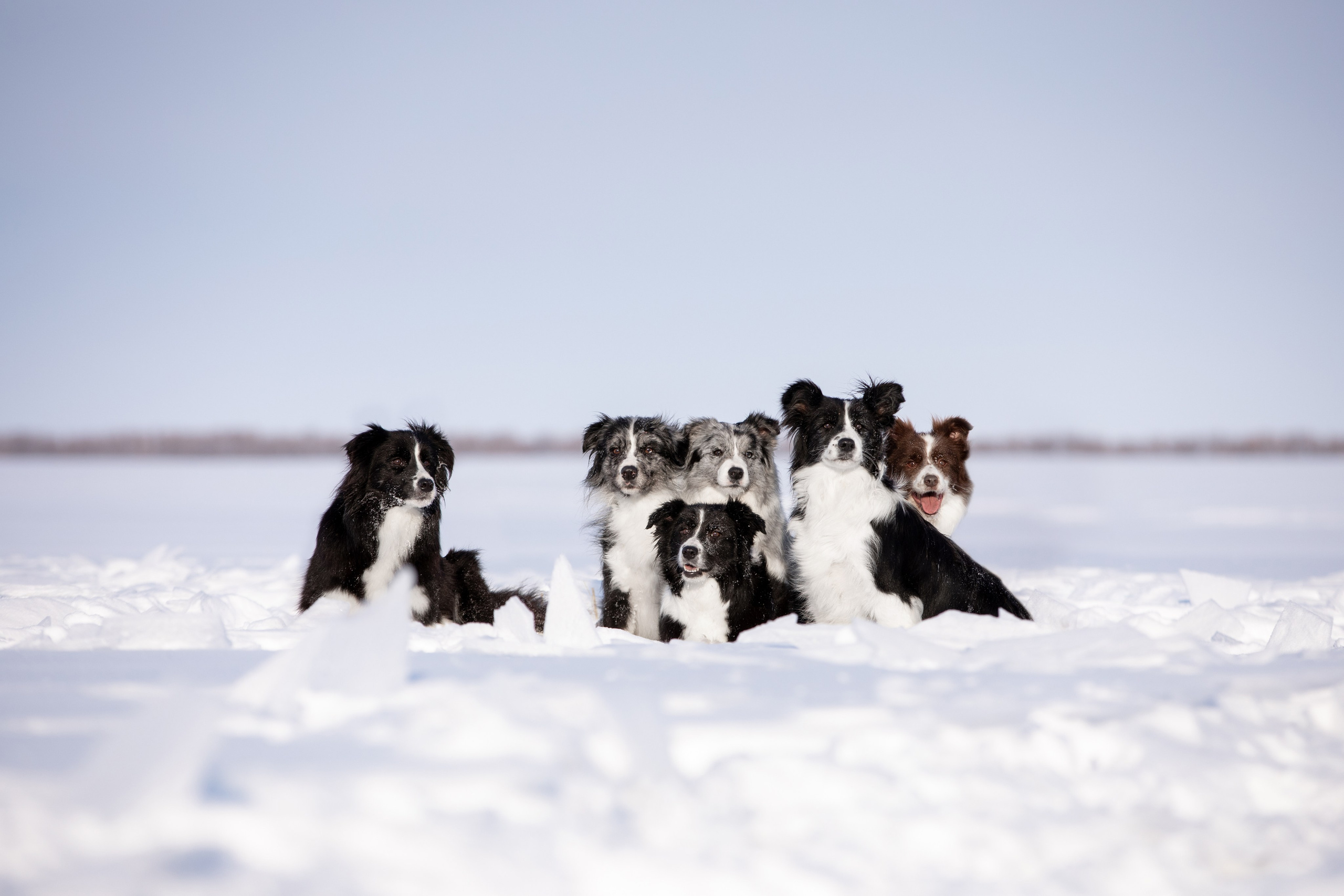 Мороз и солнце. О нас