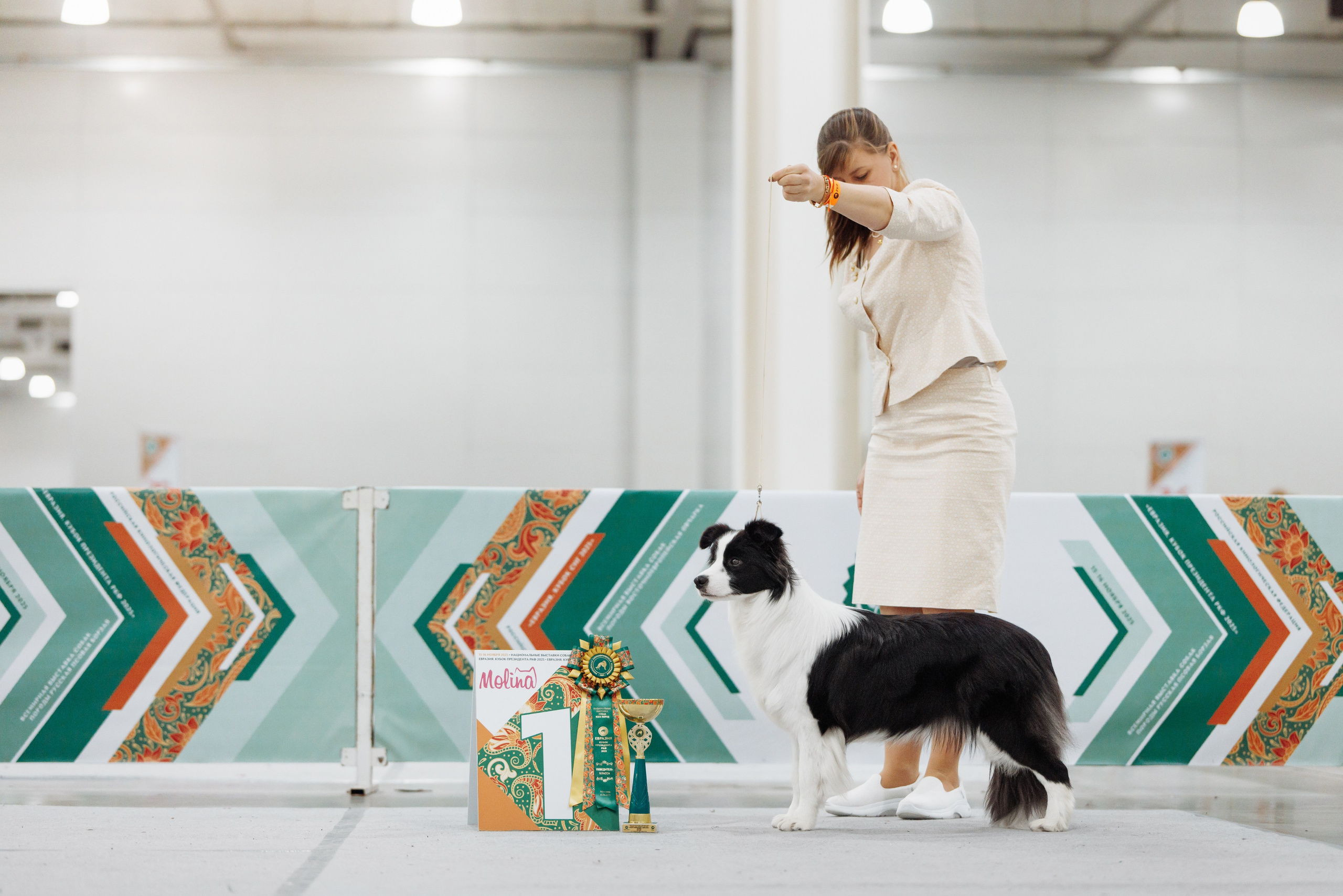 Евразия 25. О нас