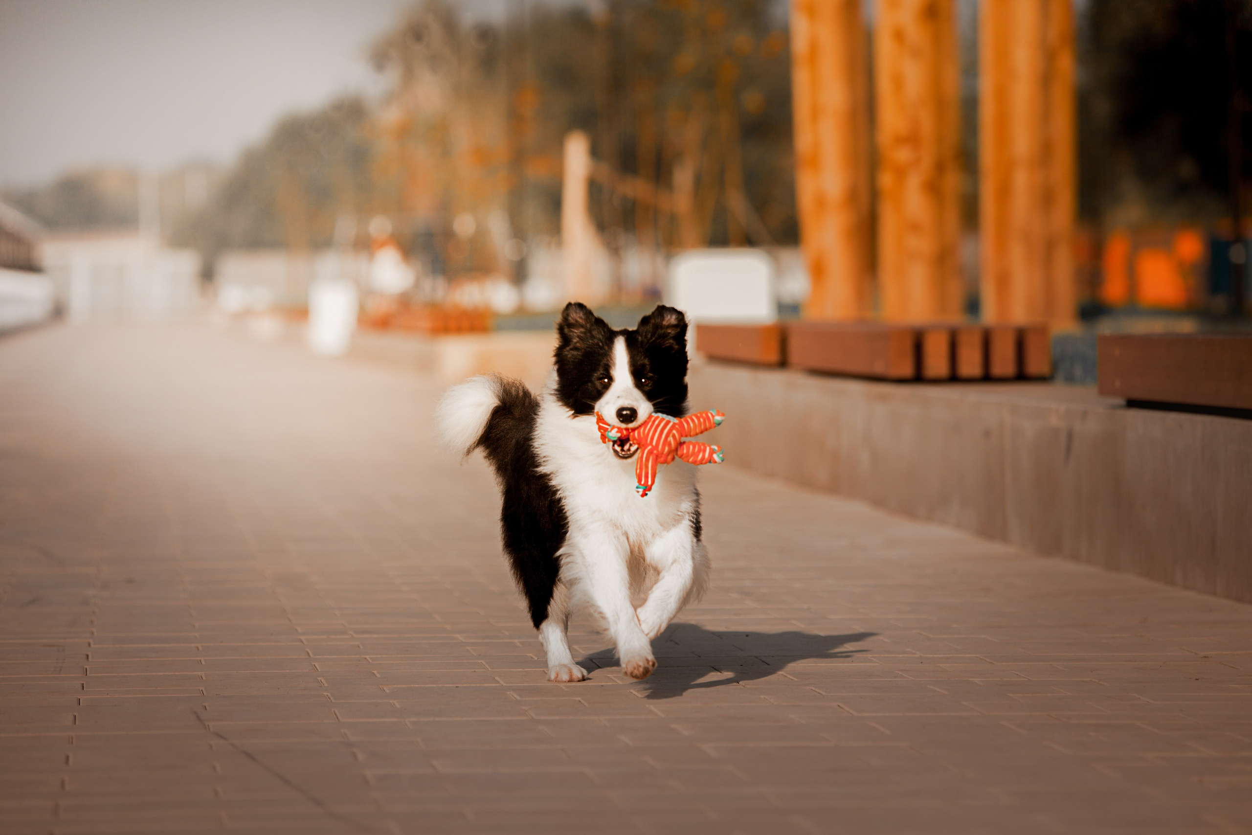 Сочный рассвет, на который решились. О нас