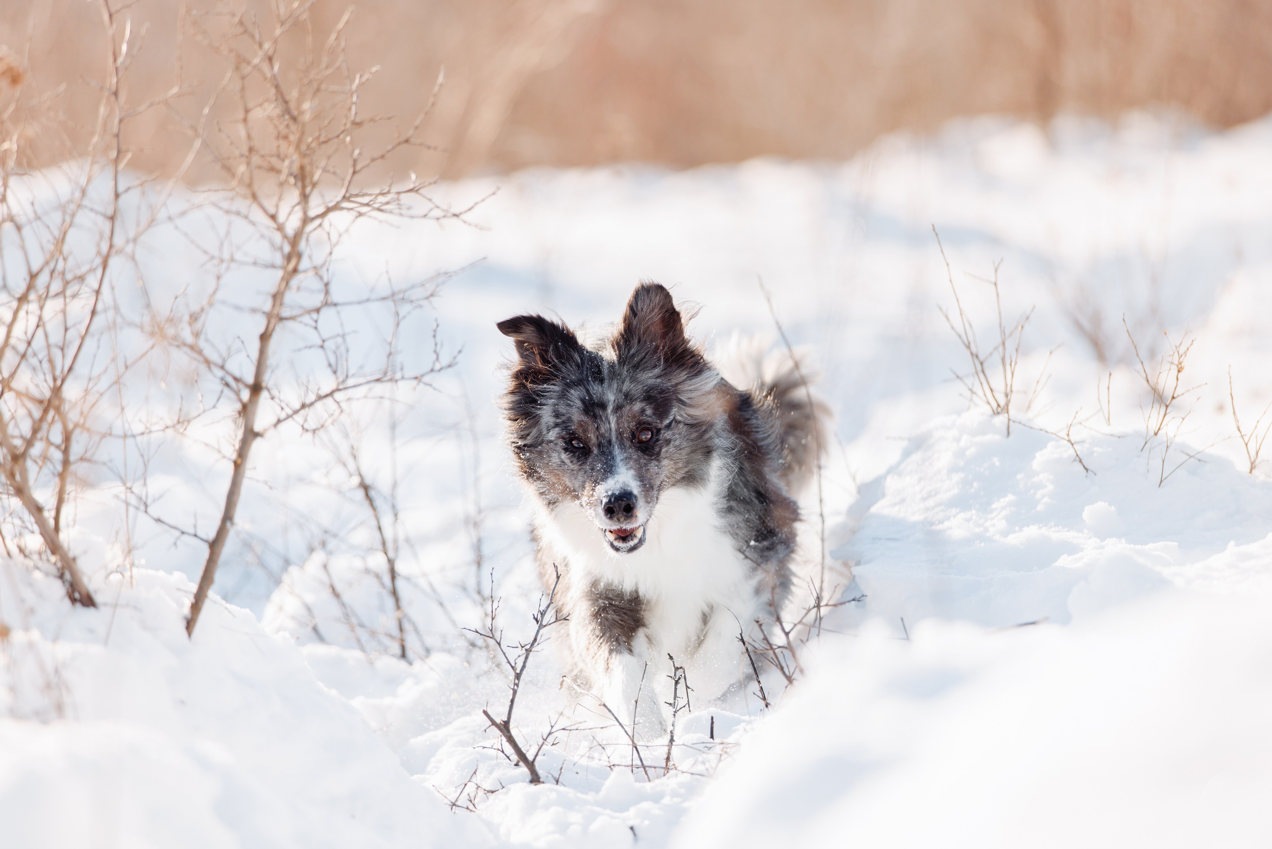 Яркий январь. О нас