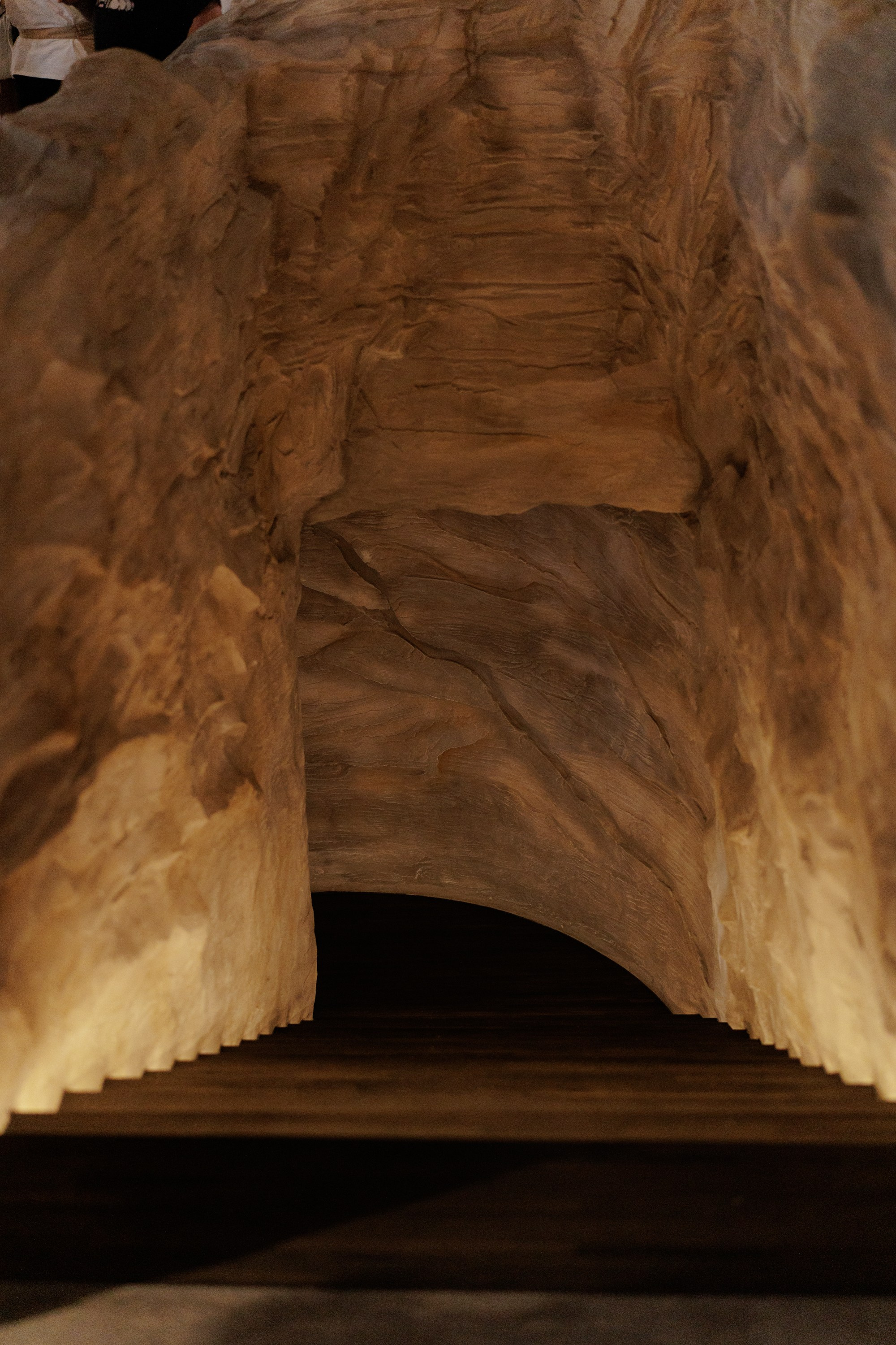 Гала-ужин «Полёт со вкусом» Аэрофлот и ВК-Видео (г.Иркутск). Свадебный фотограф