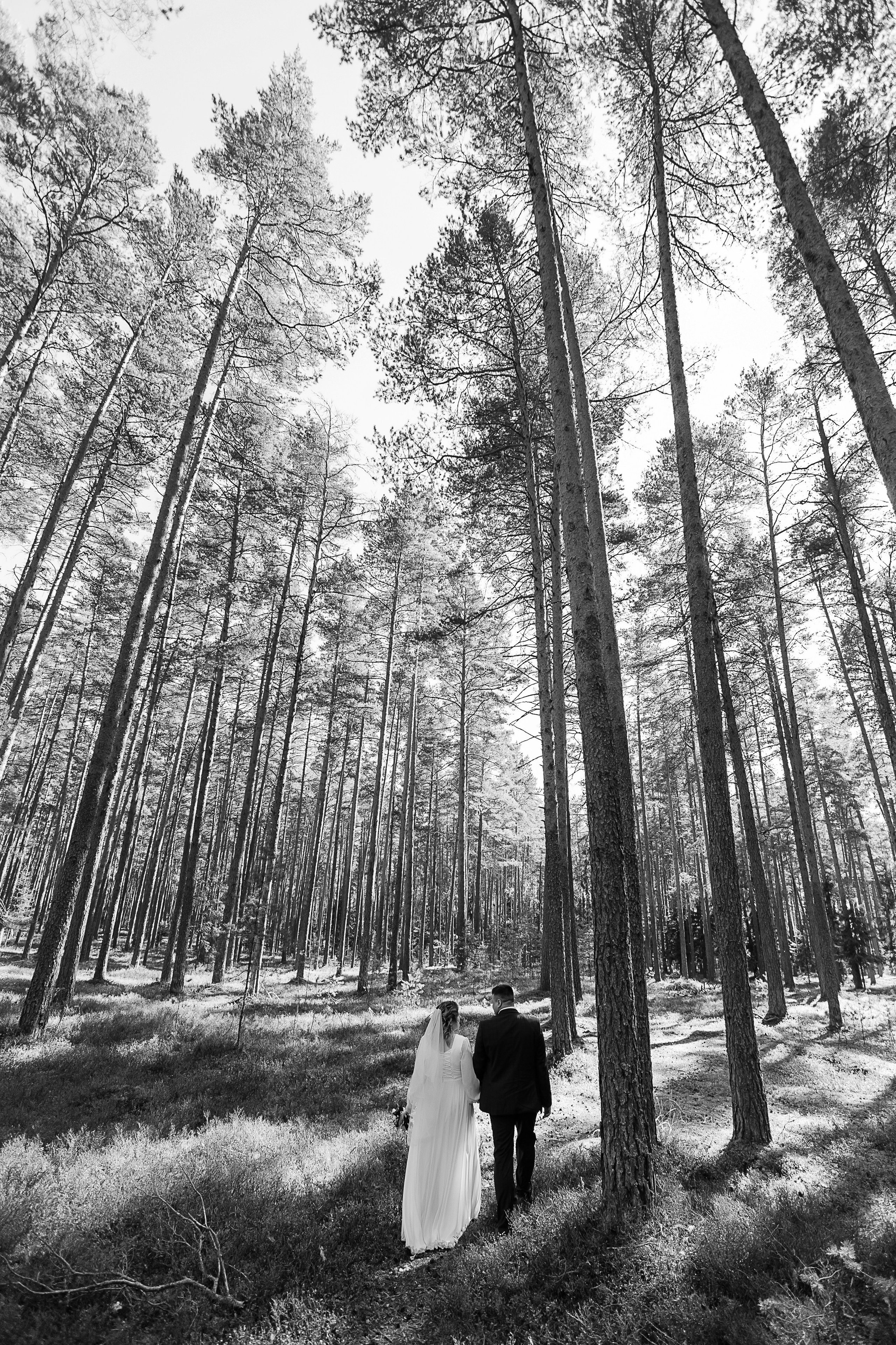 Свадьба Марины и Андрея. Свадебный и семейный фотограф в Твери и Тверской области