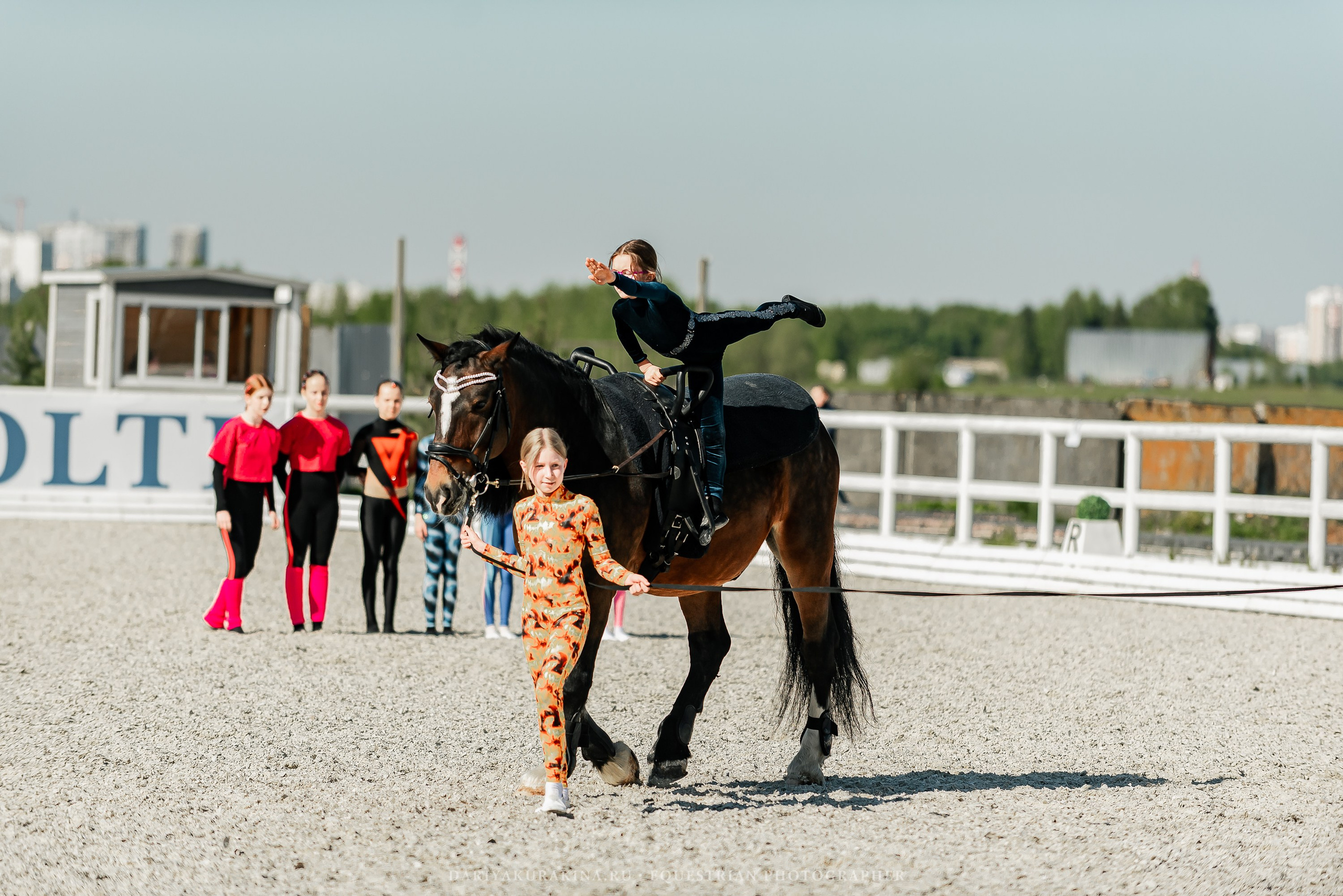 РЕПОРТАЖ МКК ВОЛЬТ «LA TULIPS». Конный фотограф Куракина Дарья • Фотосессии с лошадьми