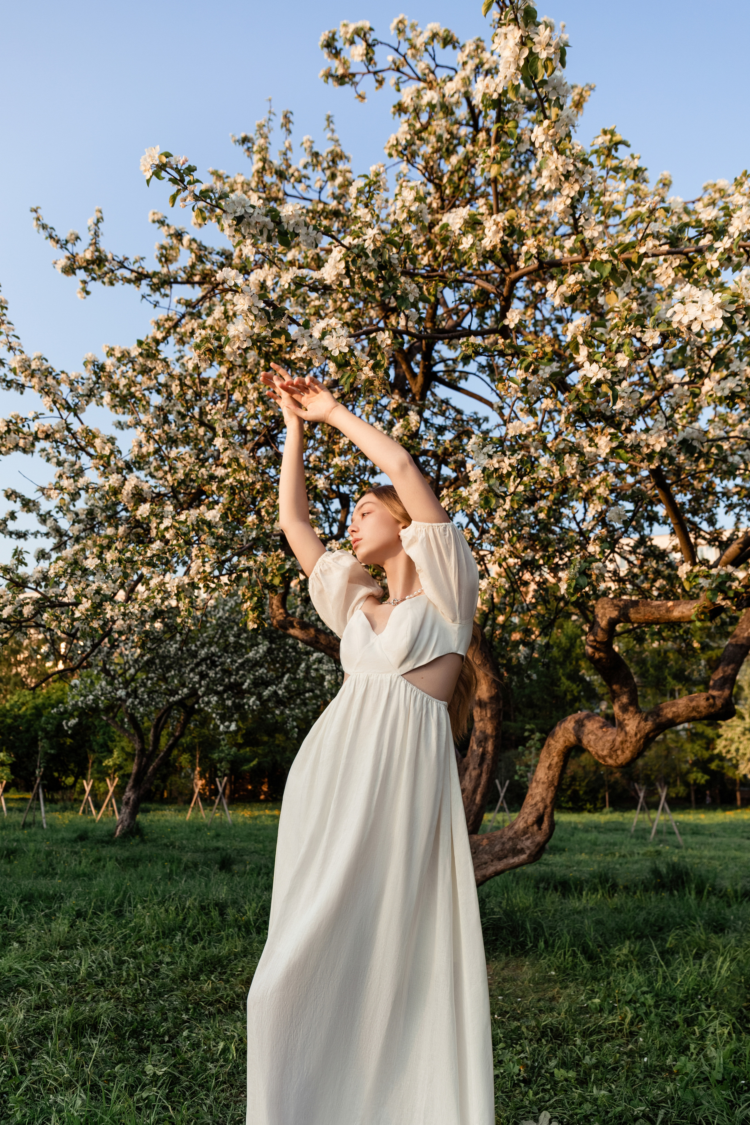 Летняя съёмка в цветущем яблоневом саду