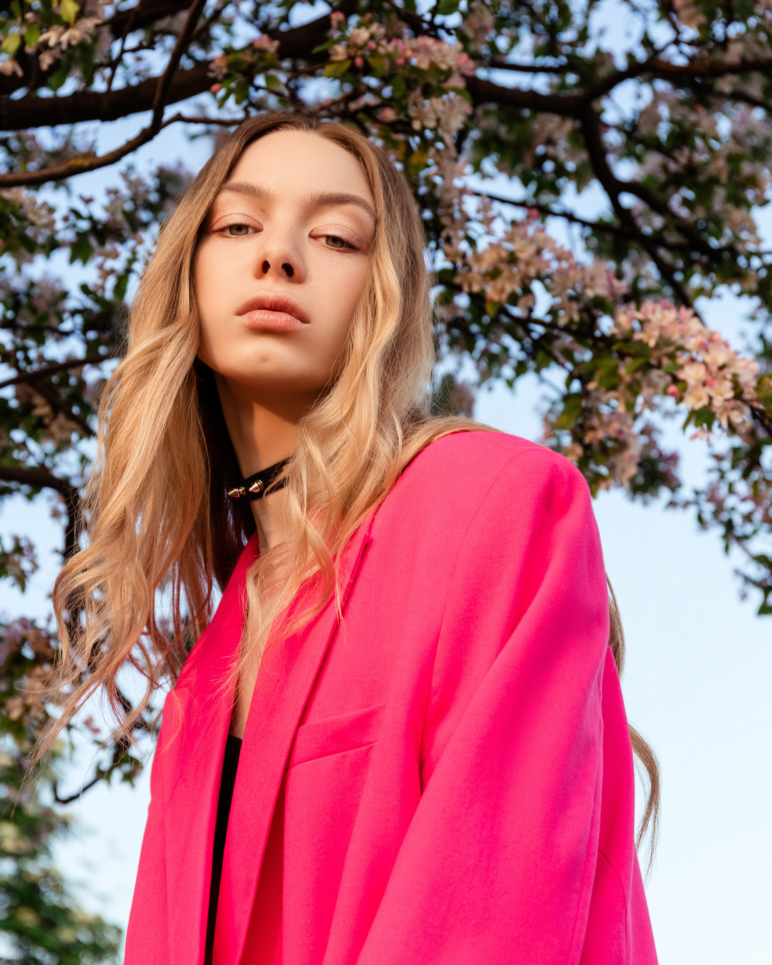 Розовый цвет