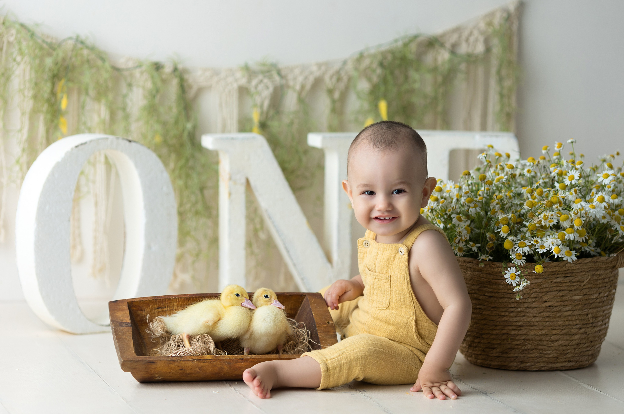 Утки. Главная