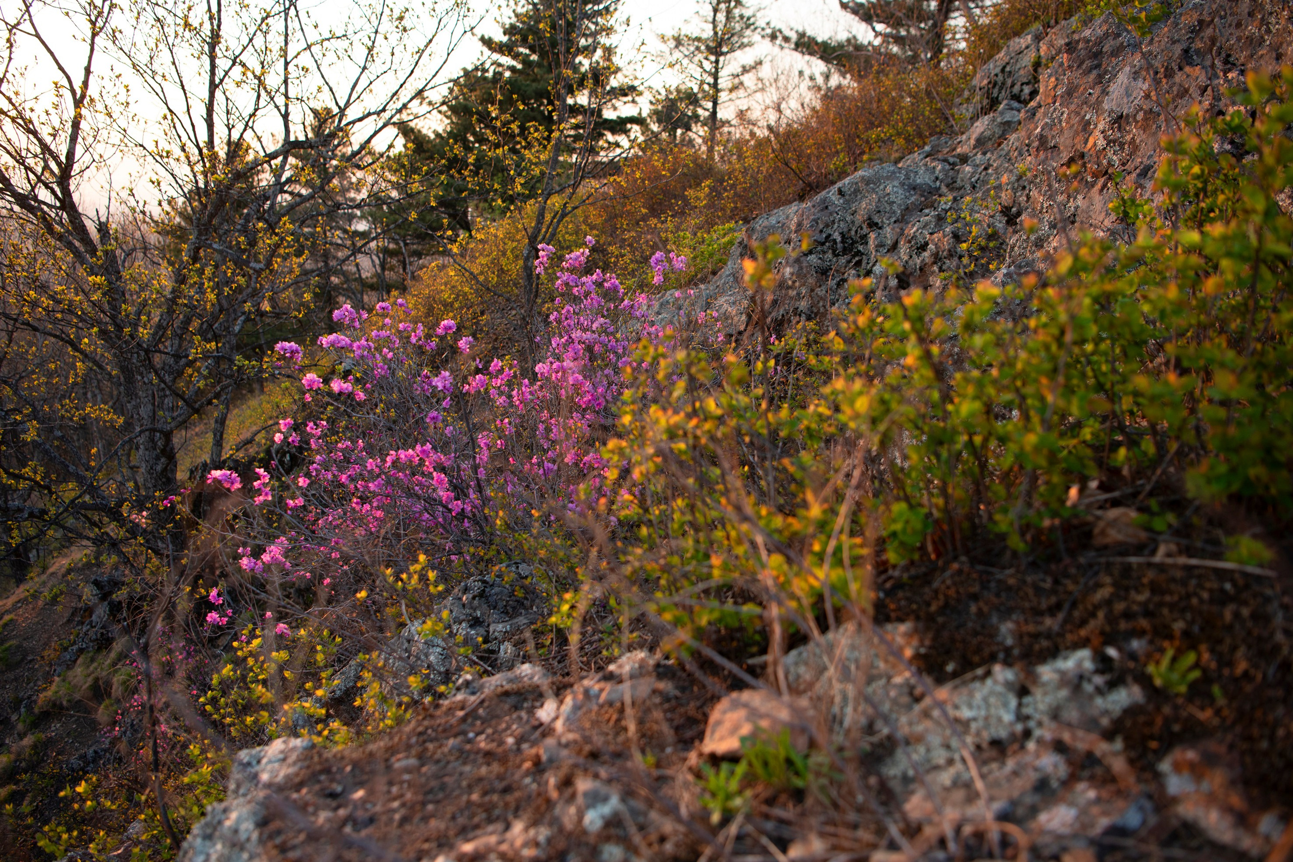 Природа Хабаровского края. Команда фотографов Кристины Ивановой