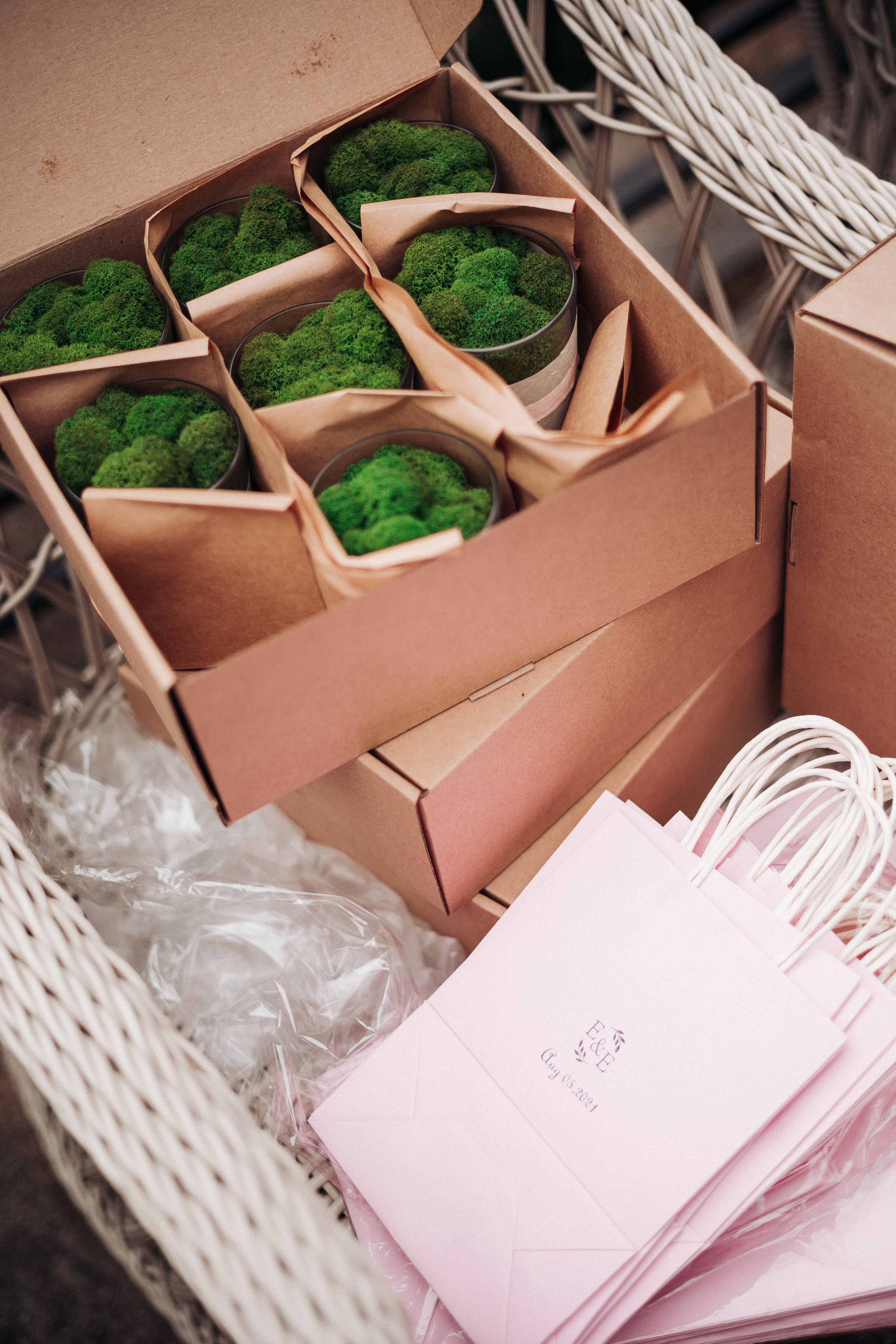 Егор и Елизавета. Организация и координация свадебных и семейных торжеств