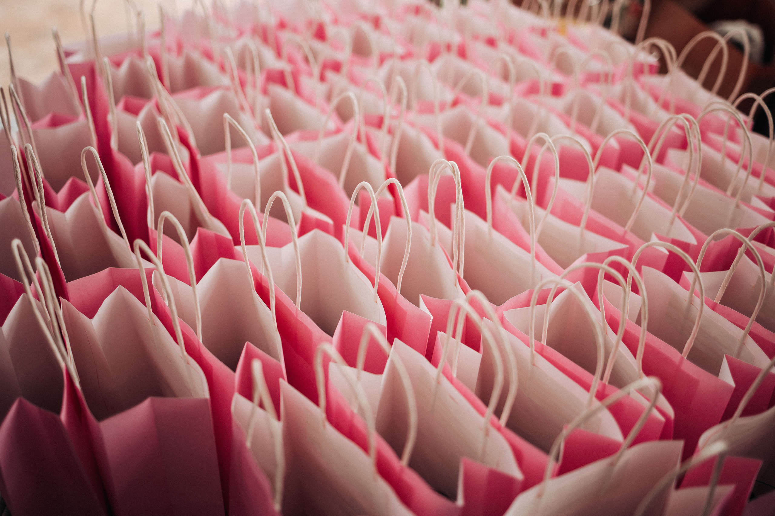 Егор и Елизавета. Организация и координация свадебных и семейных торжеств