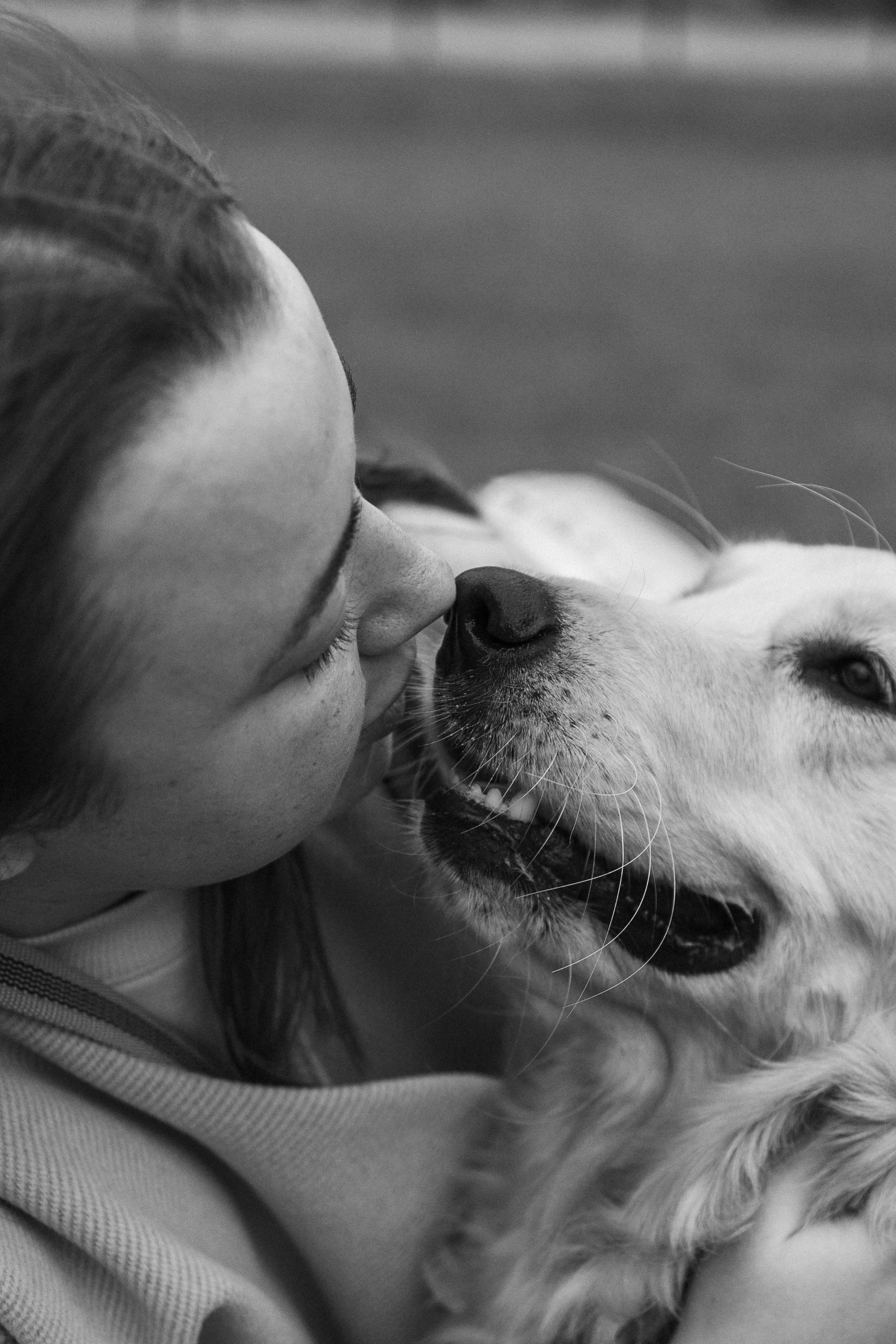 Бетти и ее семья. Фотограф — Анималист | Санкт-Петербург
