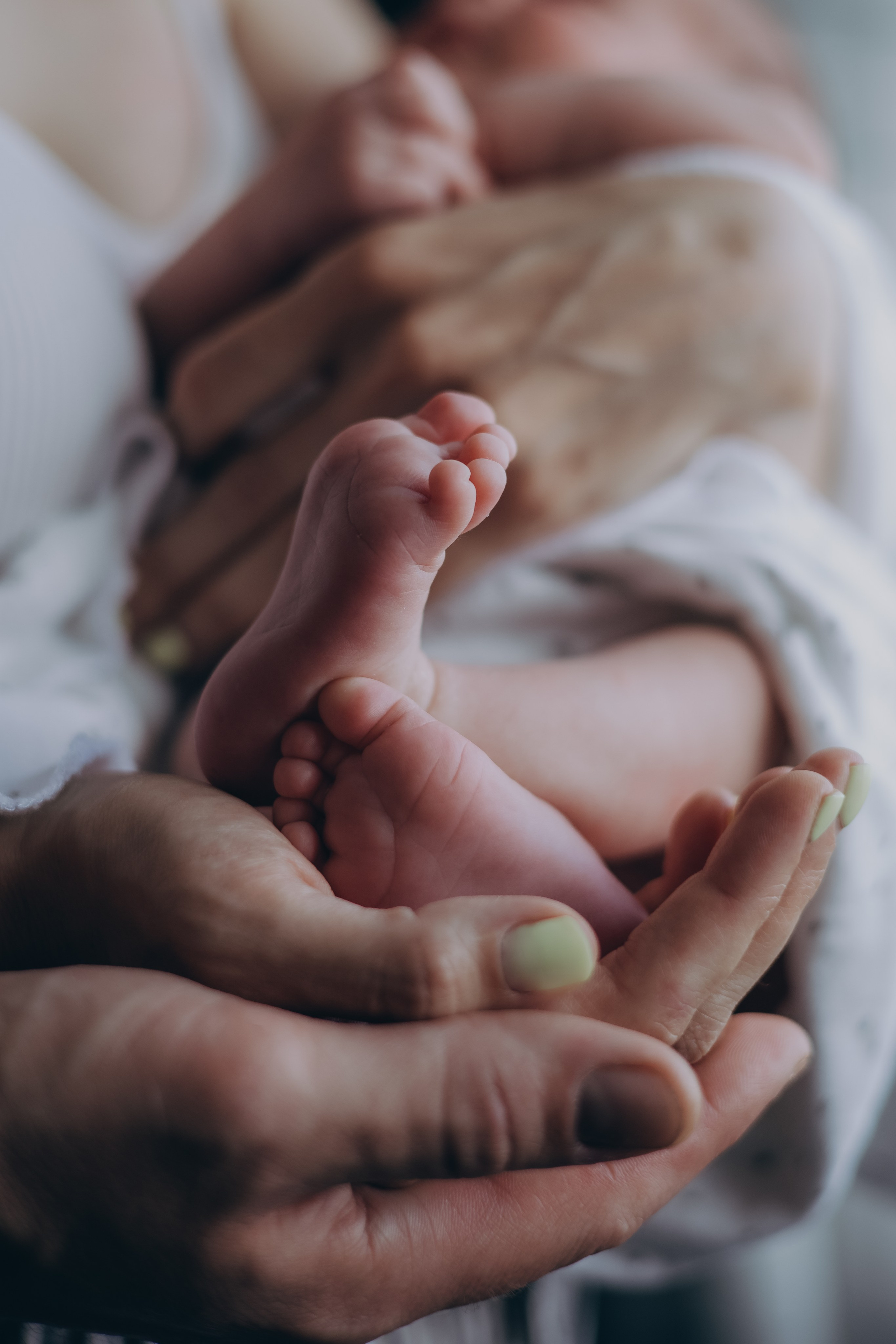 Стас, Катя и Марк. Семейный фотограф в Сочи Любовь Переседова