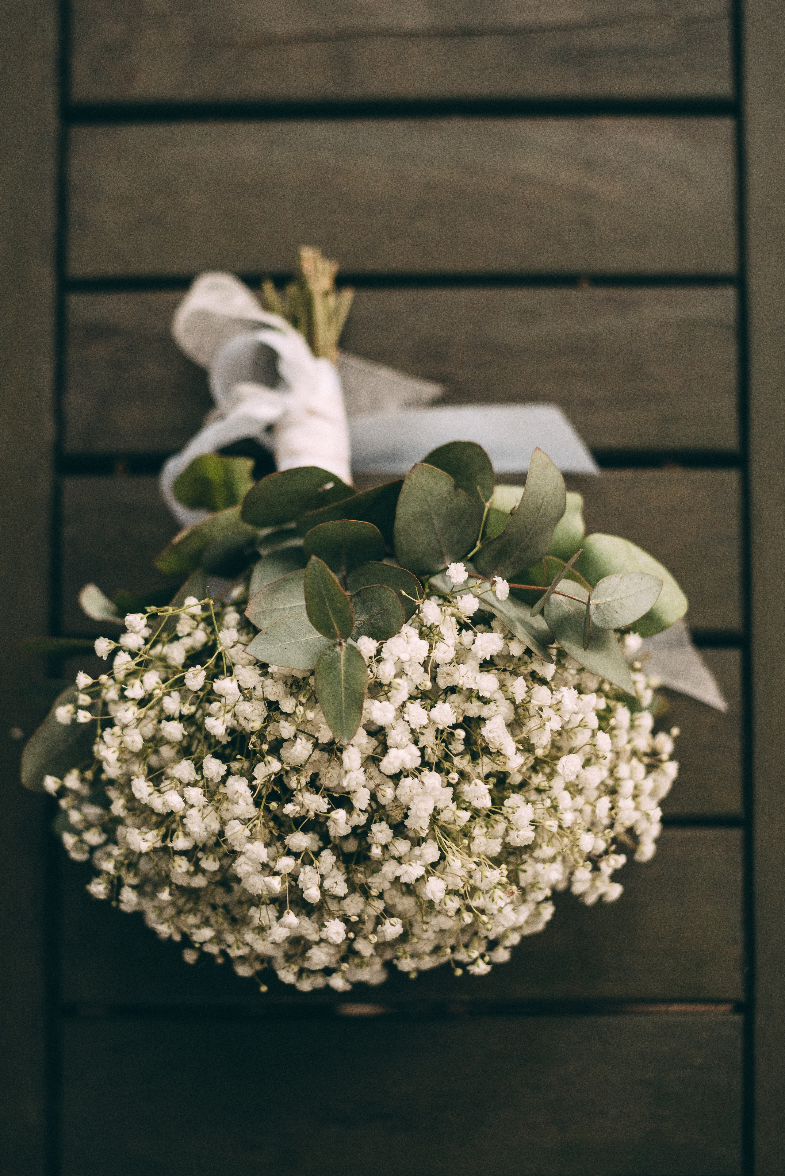 Фотосессия в парке Южные культуры Адлер. Фотограф Сочи Рита Поганова. Фотограф в Сочи — Маргарита Поганова