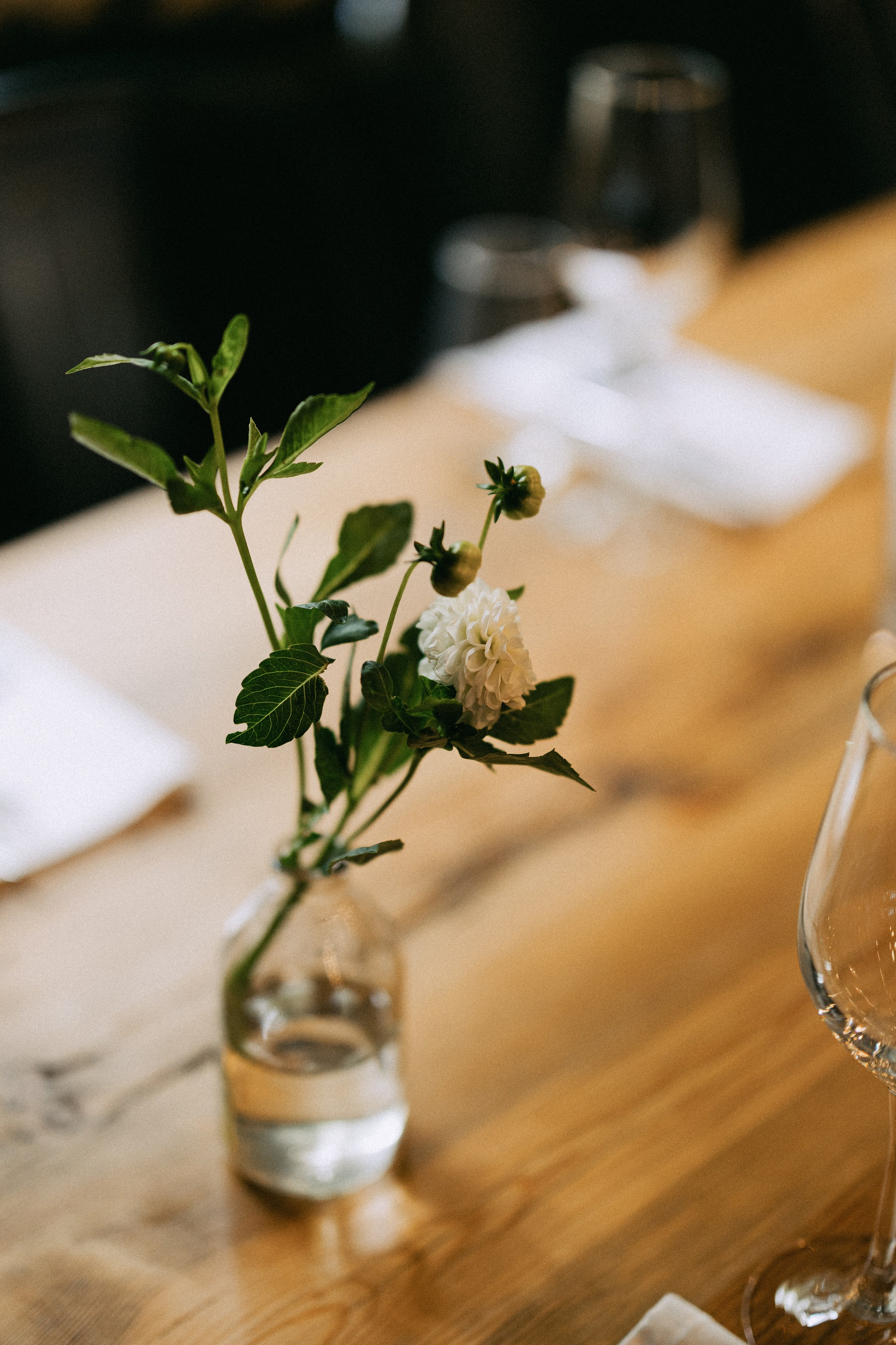 Настя и Денис. Daria Chigintseva Photographer