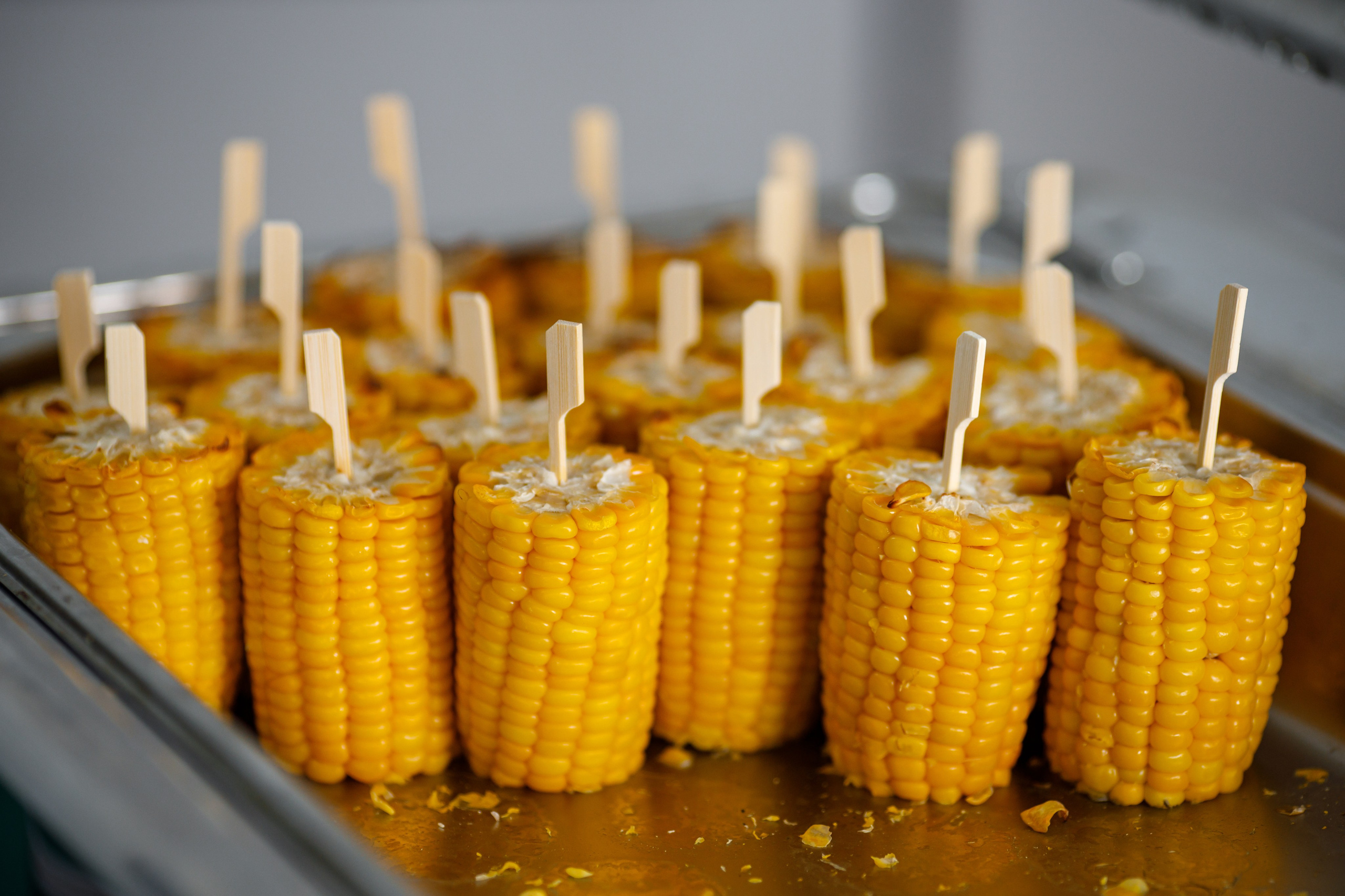 Discovery — Ecoloft. Свадебный и репортажный фотограф (Москва, Королев и другие)