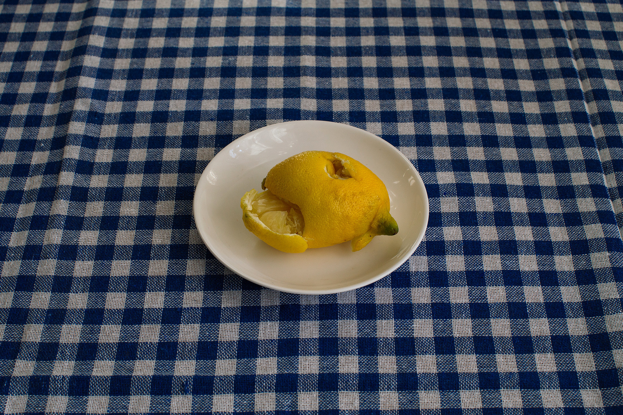 «Что же касается того, что голодовка велась ради Лизы и (Алеши), то это верно только в ограниченном смысле. С более широкой точки зрения голодовка была необходимым следствием нашей жизни и жизненной позиции, продолжением моей борьбы за право человека, за право свободы выбора страны проживания...» из книги А.Д. Сахарова «Воспоминания»