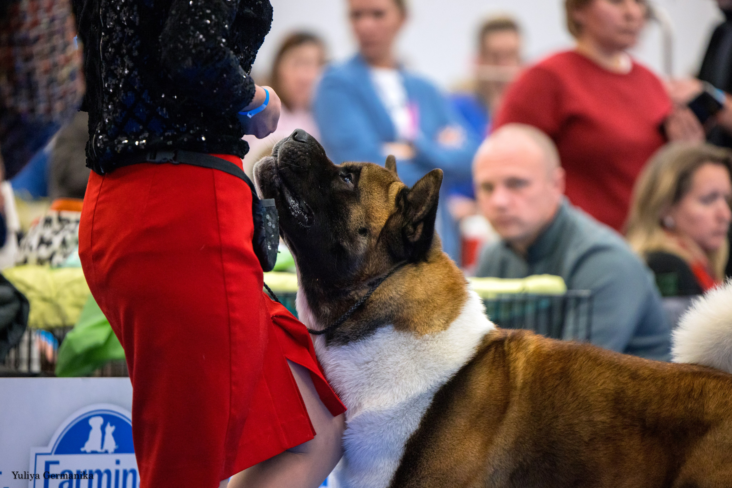 Нижний Новгород 21-22.10.2023. Фотограф-анималист Юлия Германика