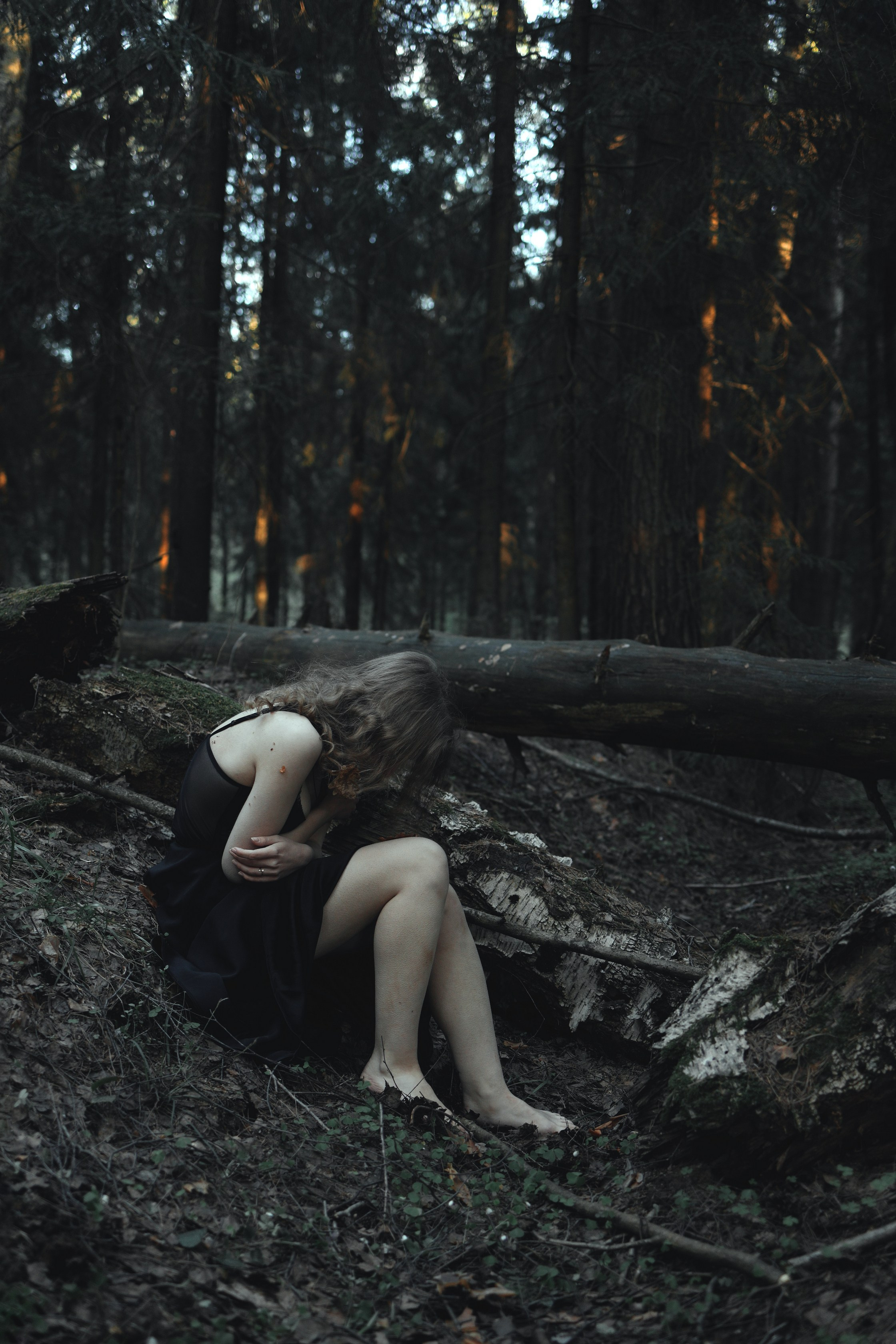 Schutzwald. Арт-фотограф. Coffelisk