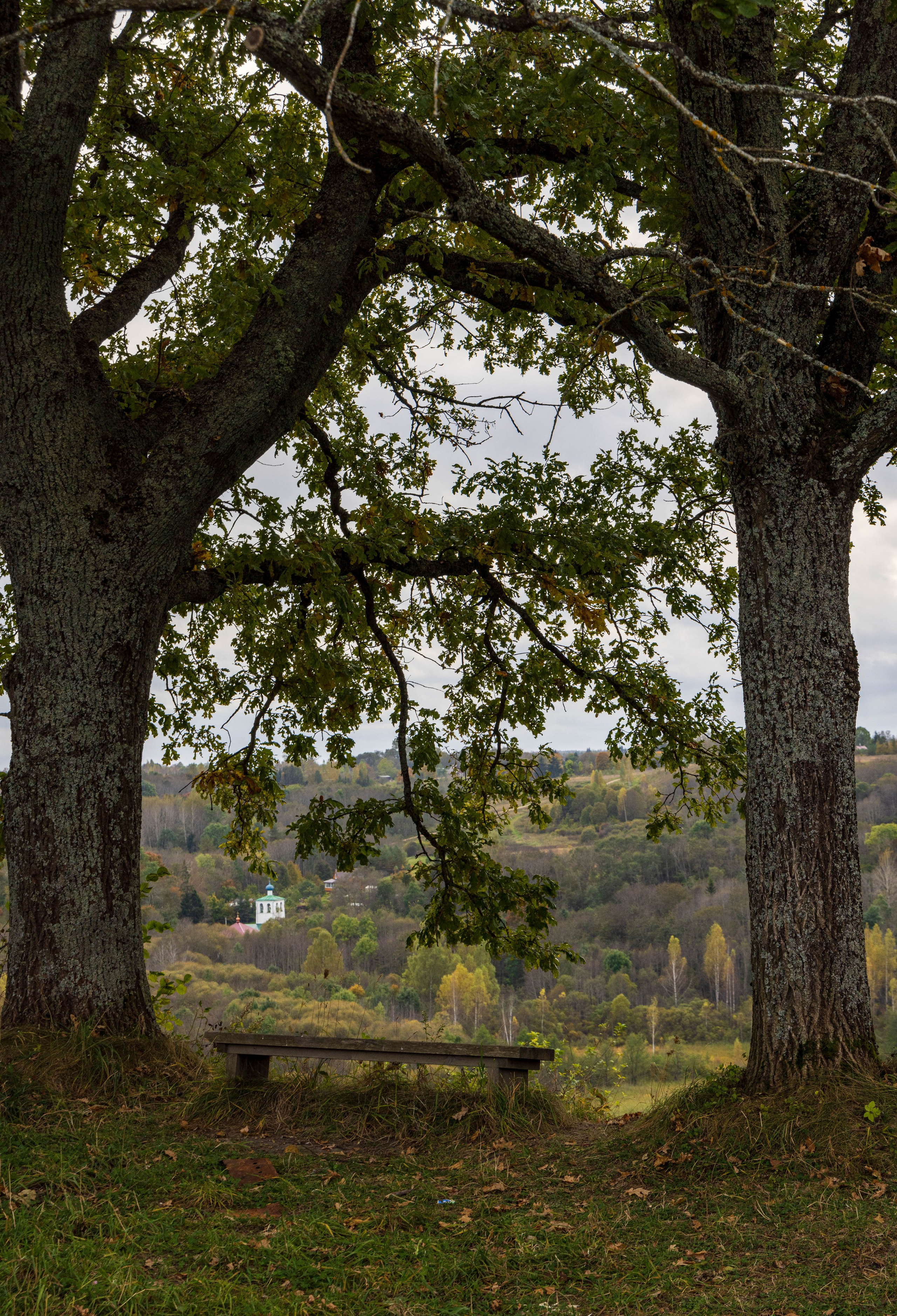Архитектура и пейзажи. Главная