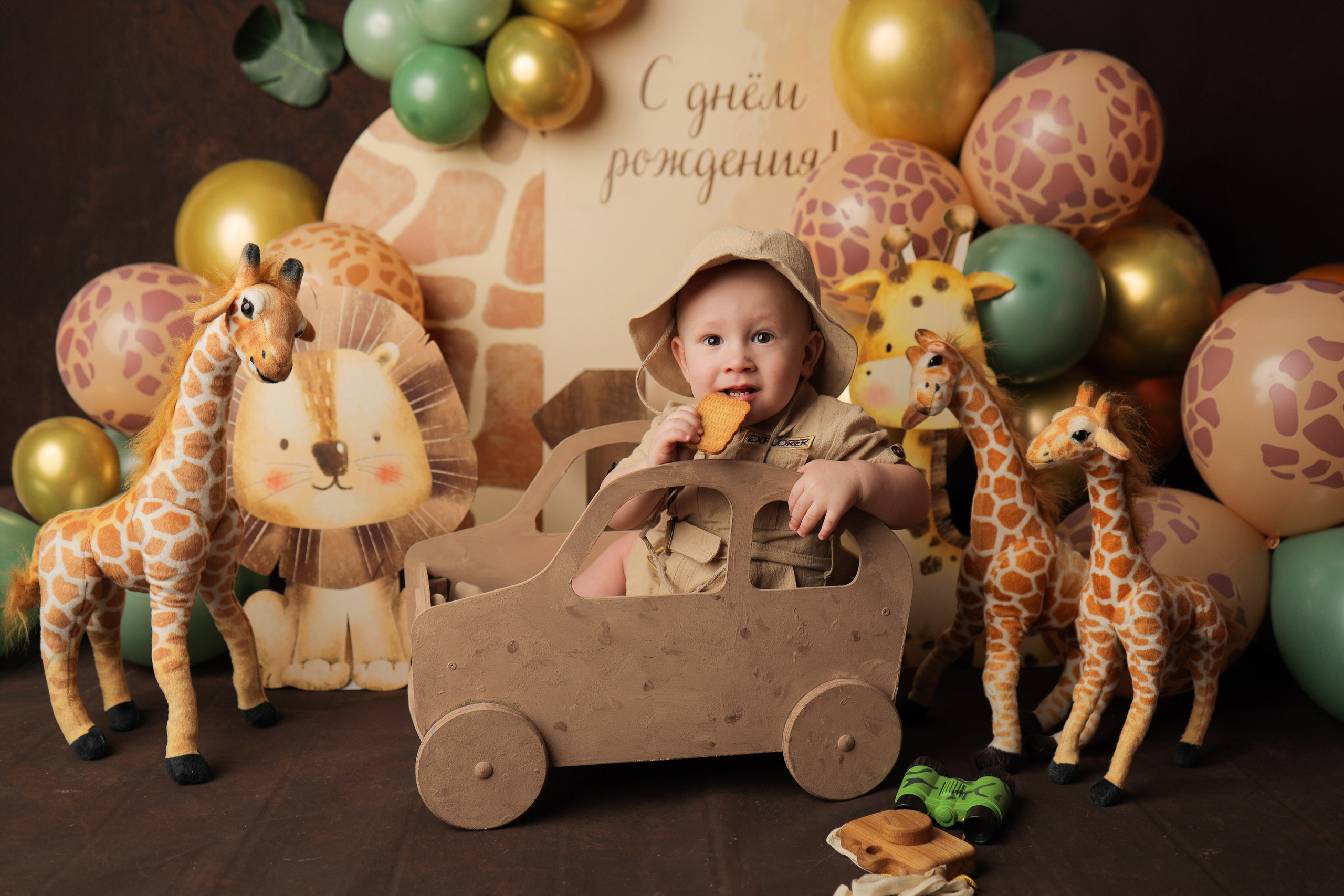 Лев, 1 годик. Фотограф новорожденных в Новокузнецке Анна Горошникова