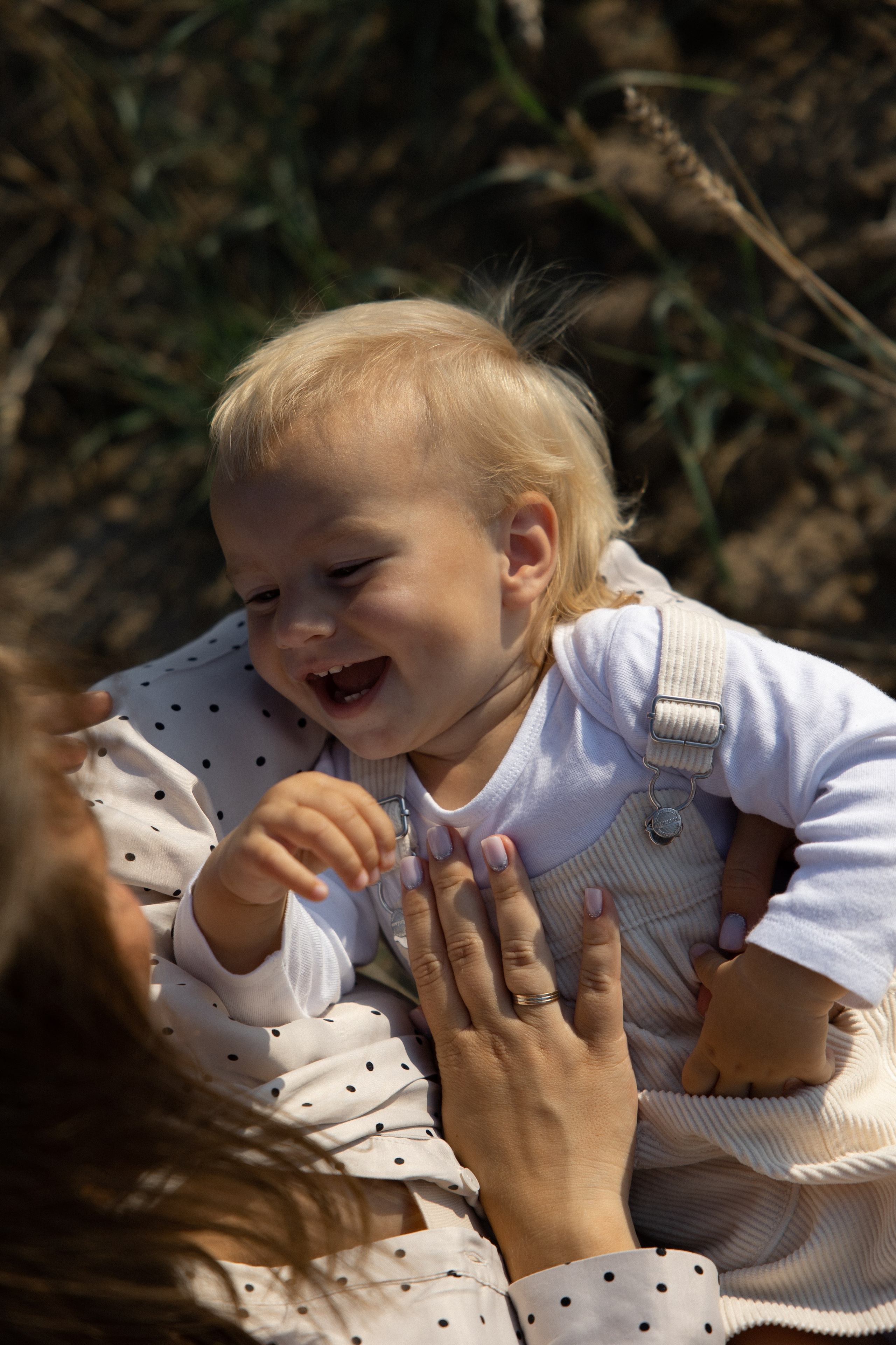 Семейная в поле. Свадебный фотограф в Санкт — Петербурге и Ленинградской о