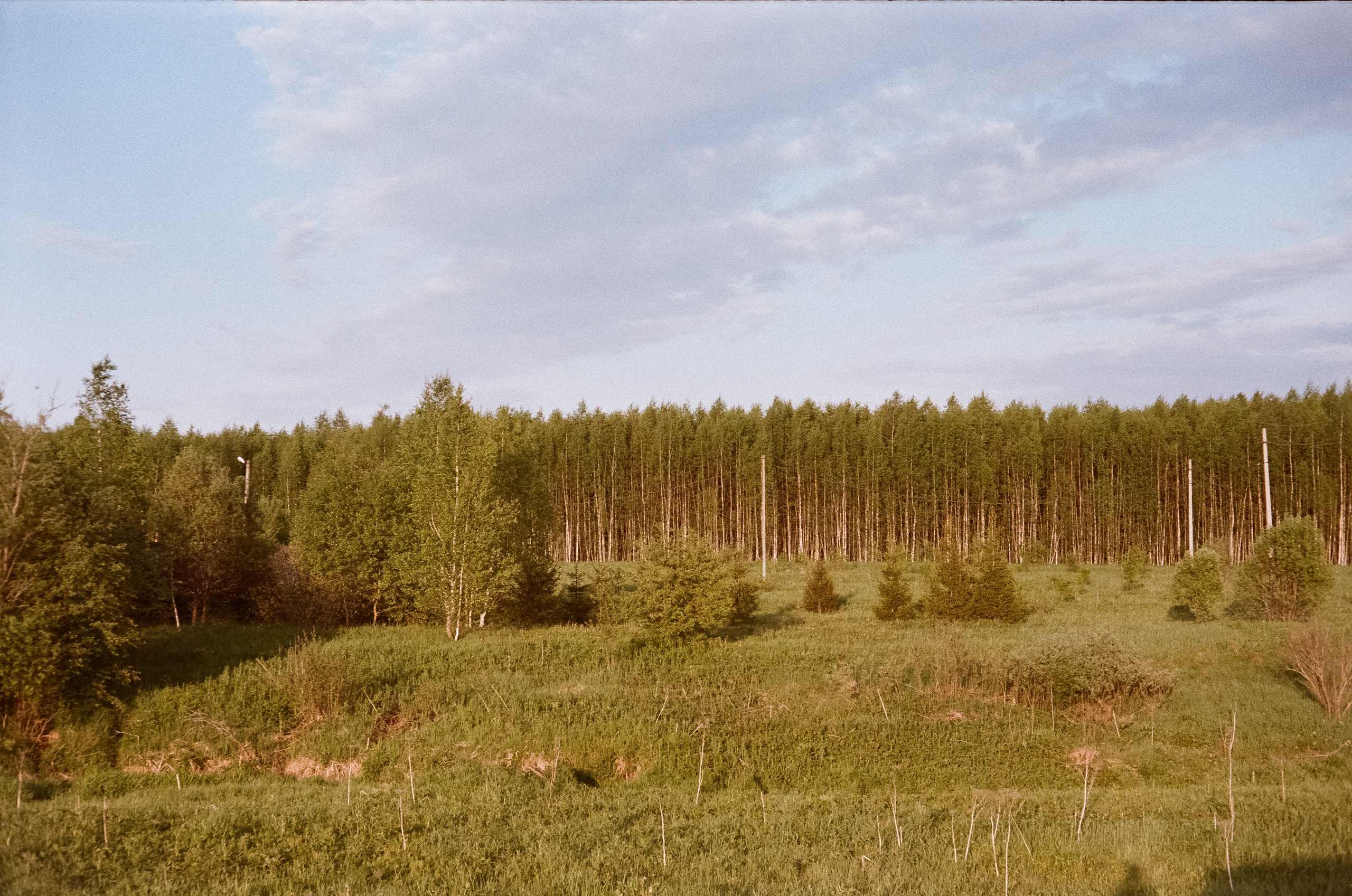 Konica IIIA / Fujicolor Superia 200 (просрочка) / Благовещенский переу