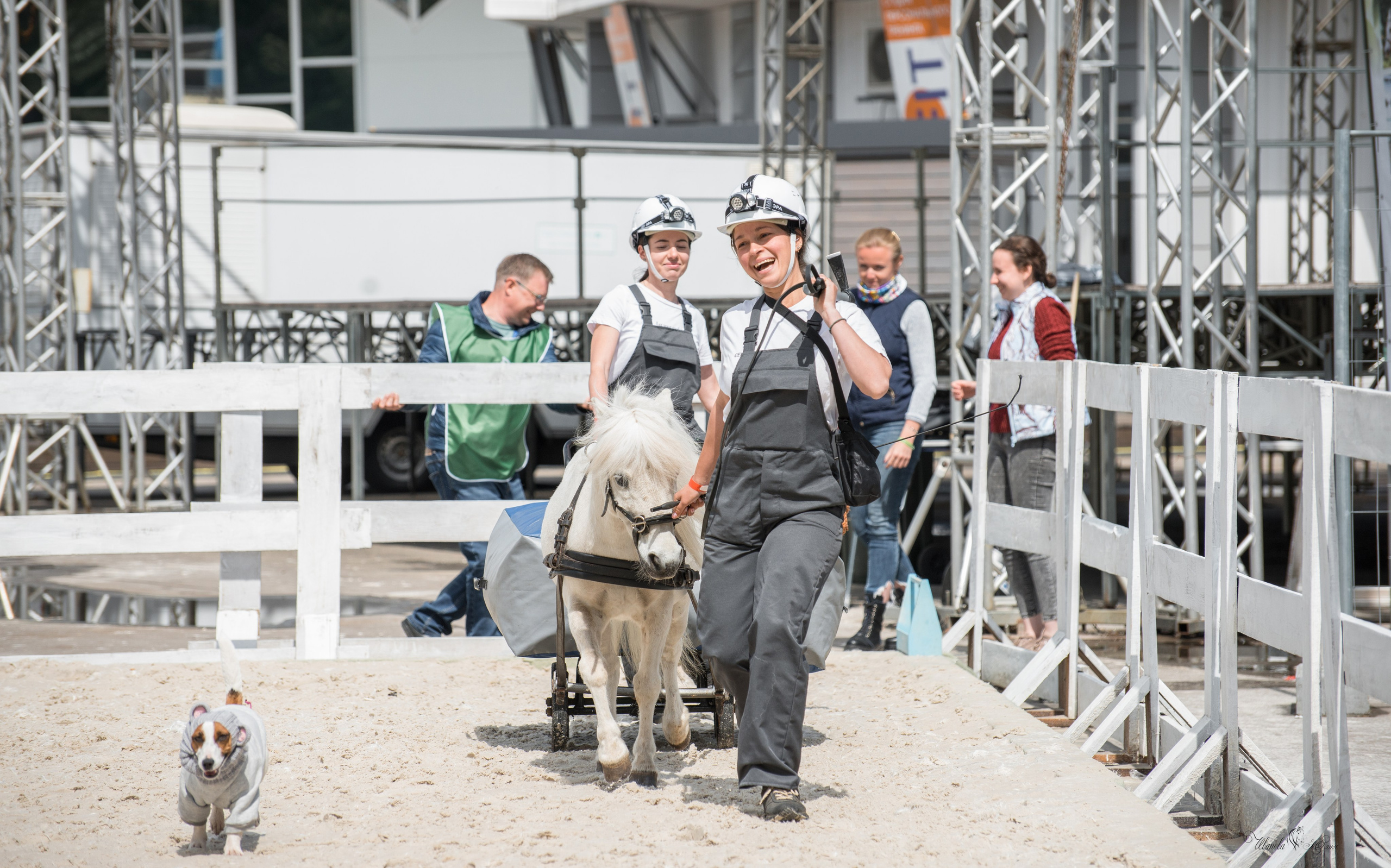 Эквирос, Москва. Конный фотограф в Саратове Юлия Иванова
