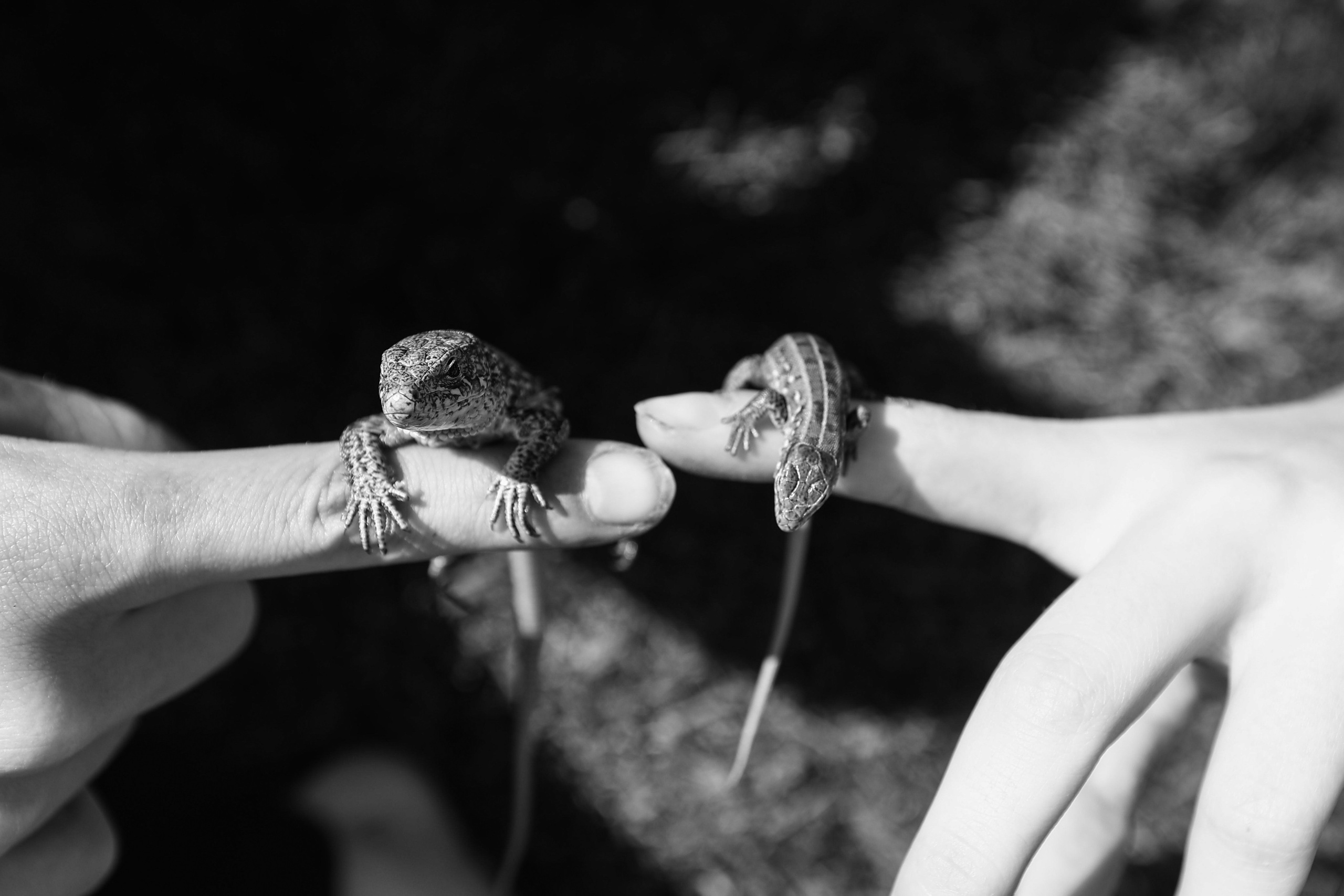 Семейный LIFESTYLE фотограф в Москве