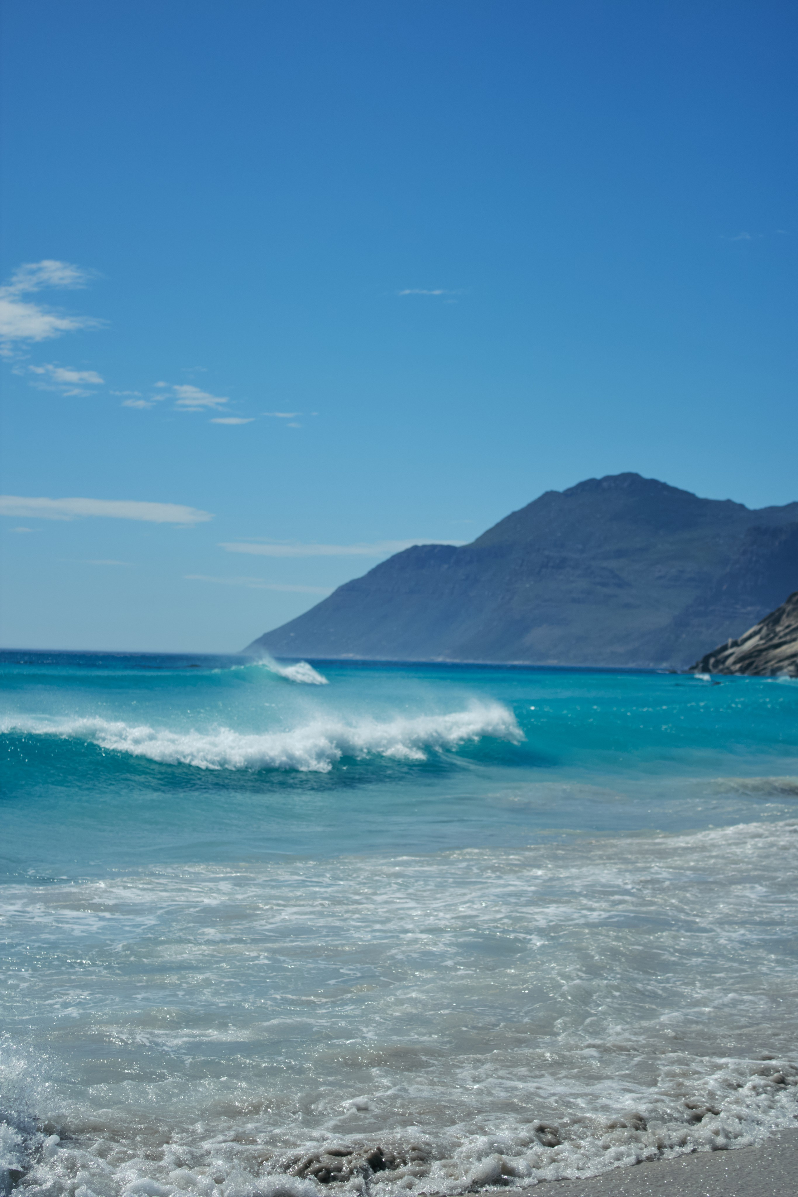 ЮАР. Профессиональный Фотограф во Владимире, в Москве и в Суздале — Полина Романычева