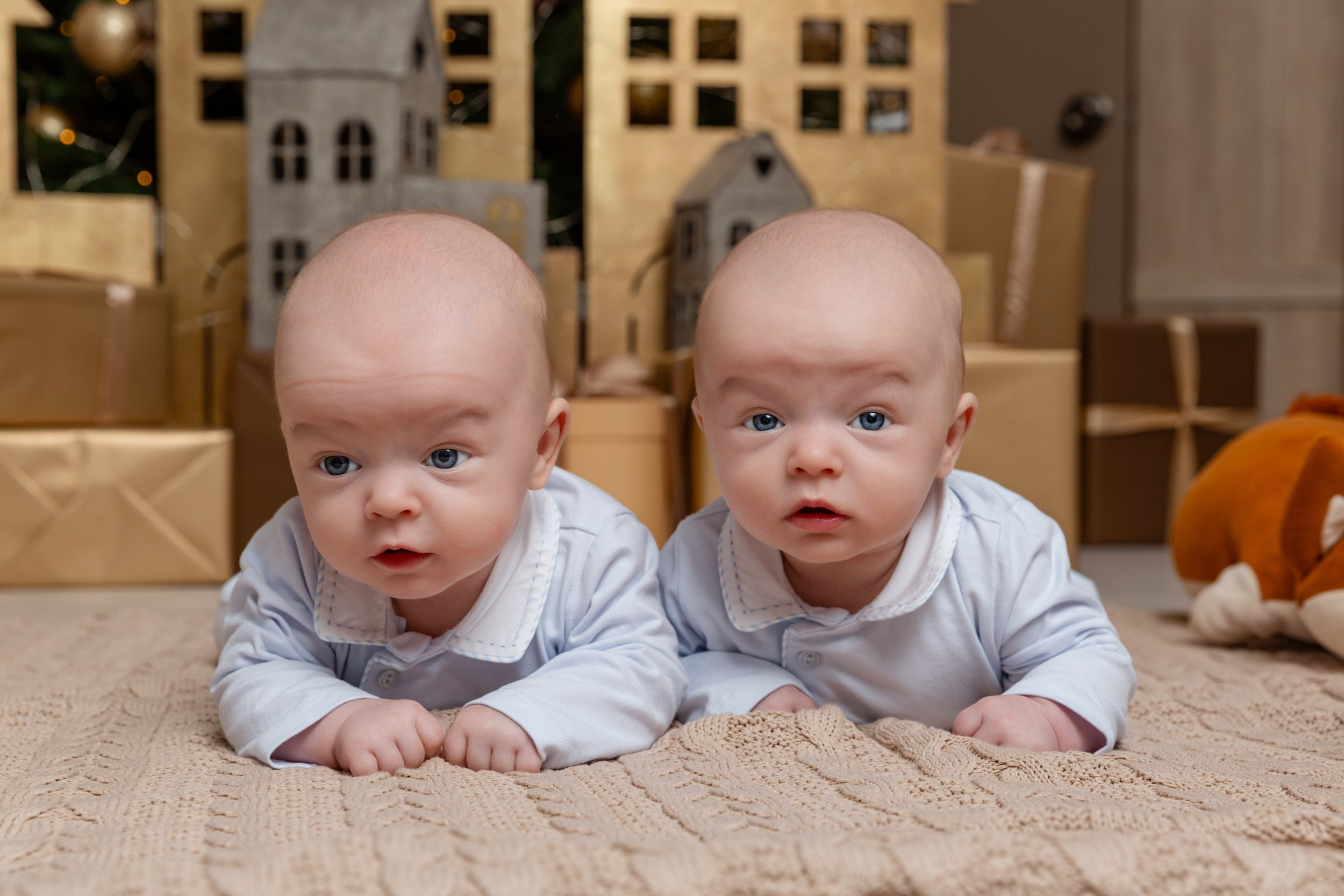 Новогодние фотосессии 2025/2026. Истории